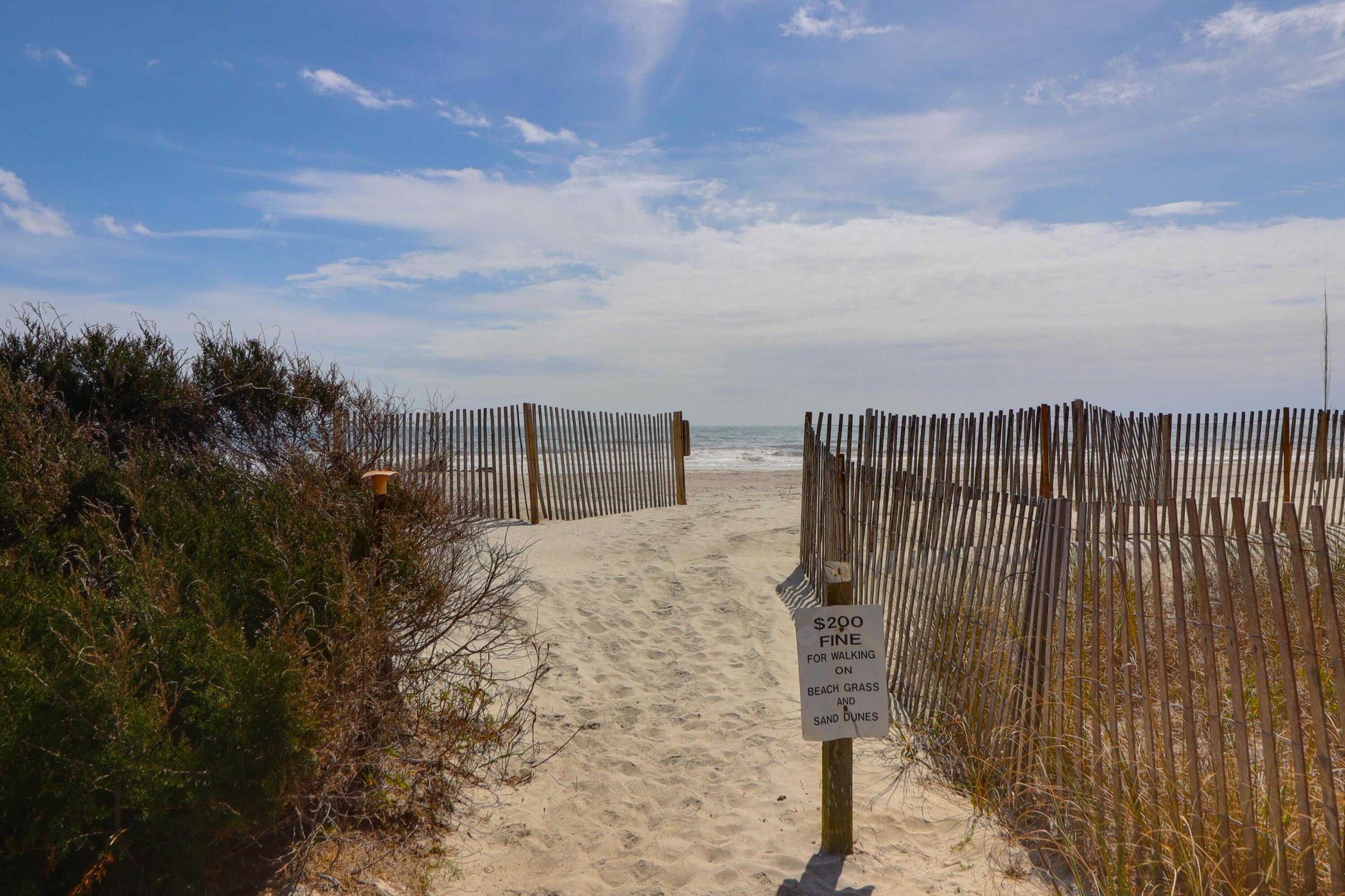 Photo #49