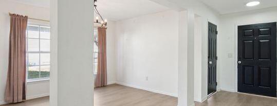 Photo #12