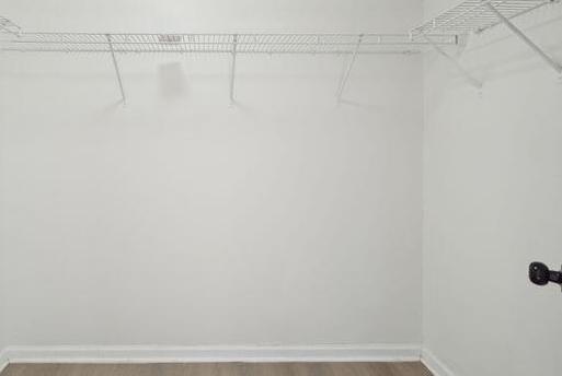 Photo #18