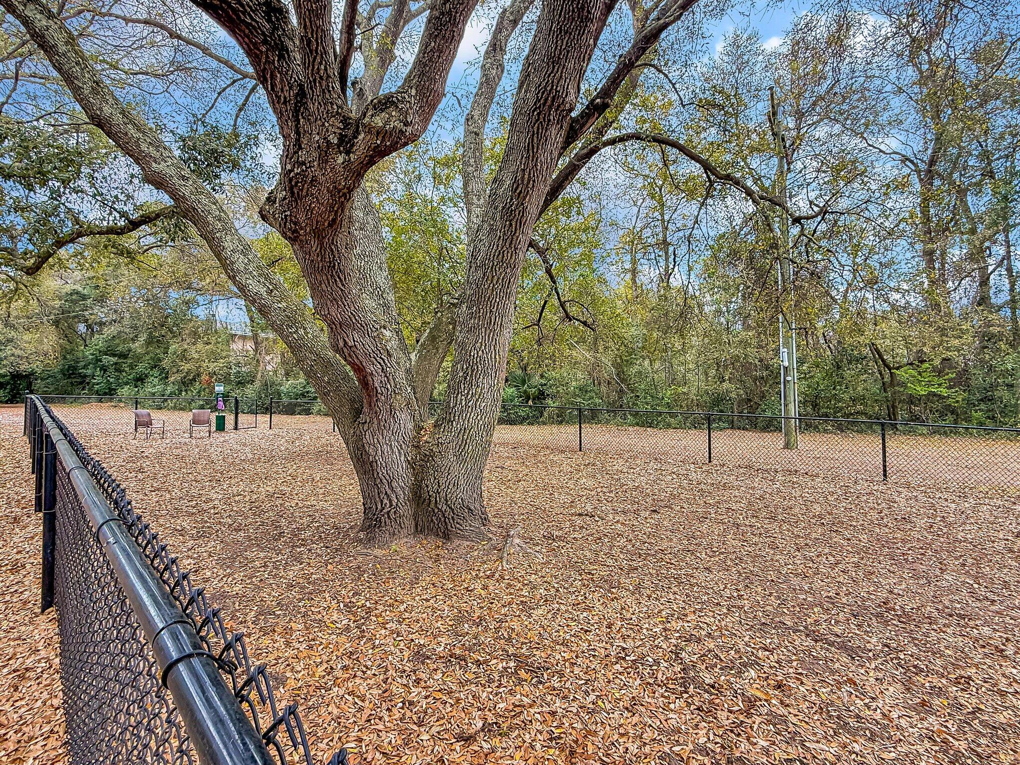 Photo #35