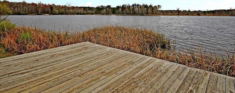 Photo #37