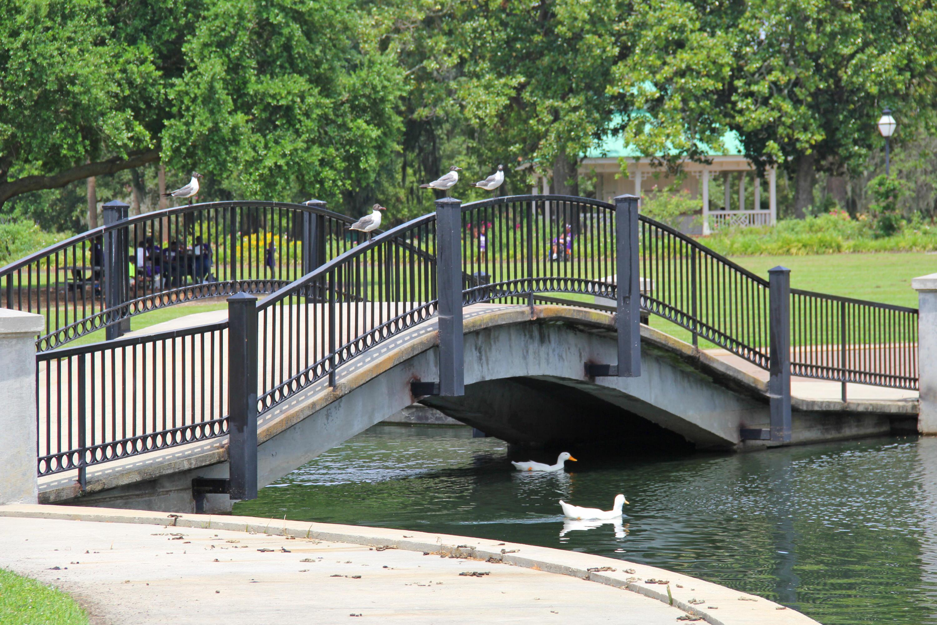 Photo #33