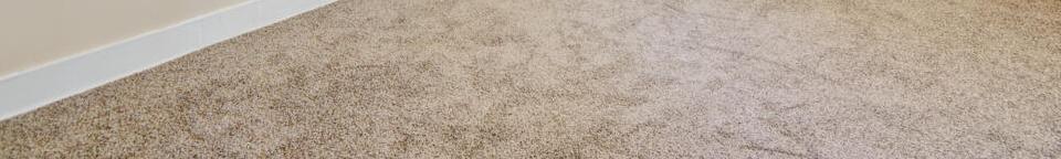 Photo #13