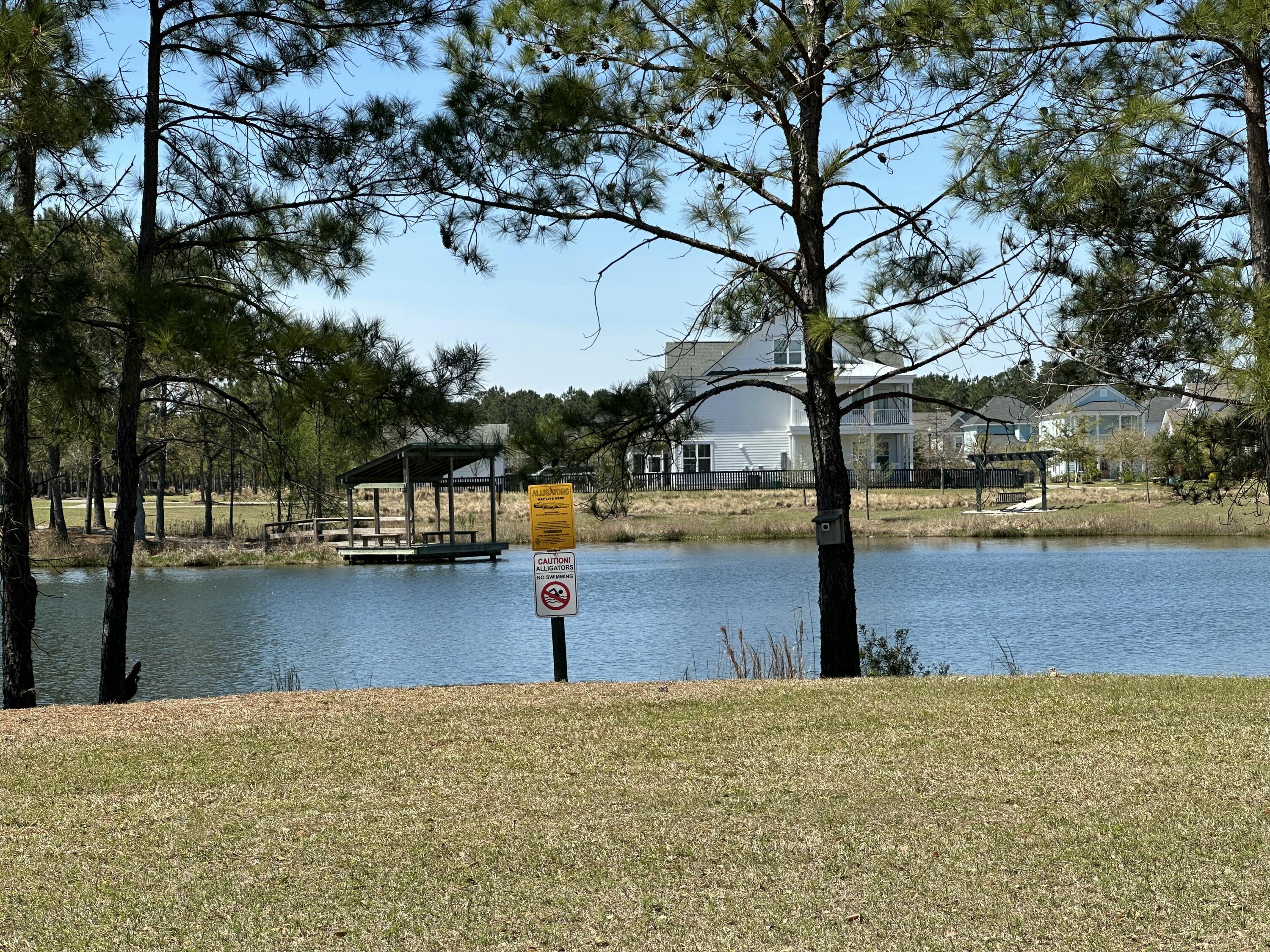 Photo #45