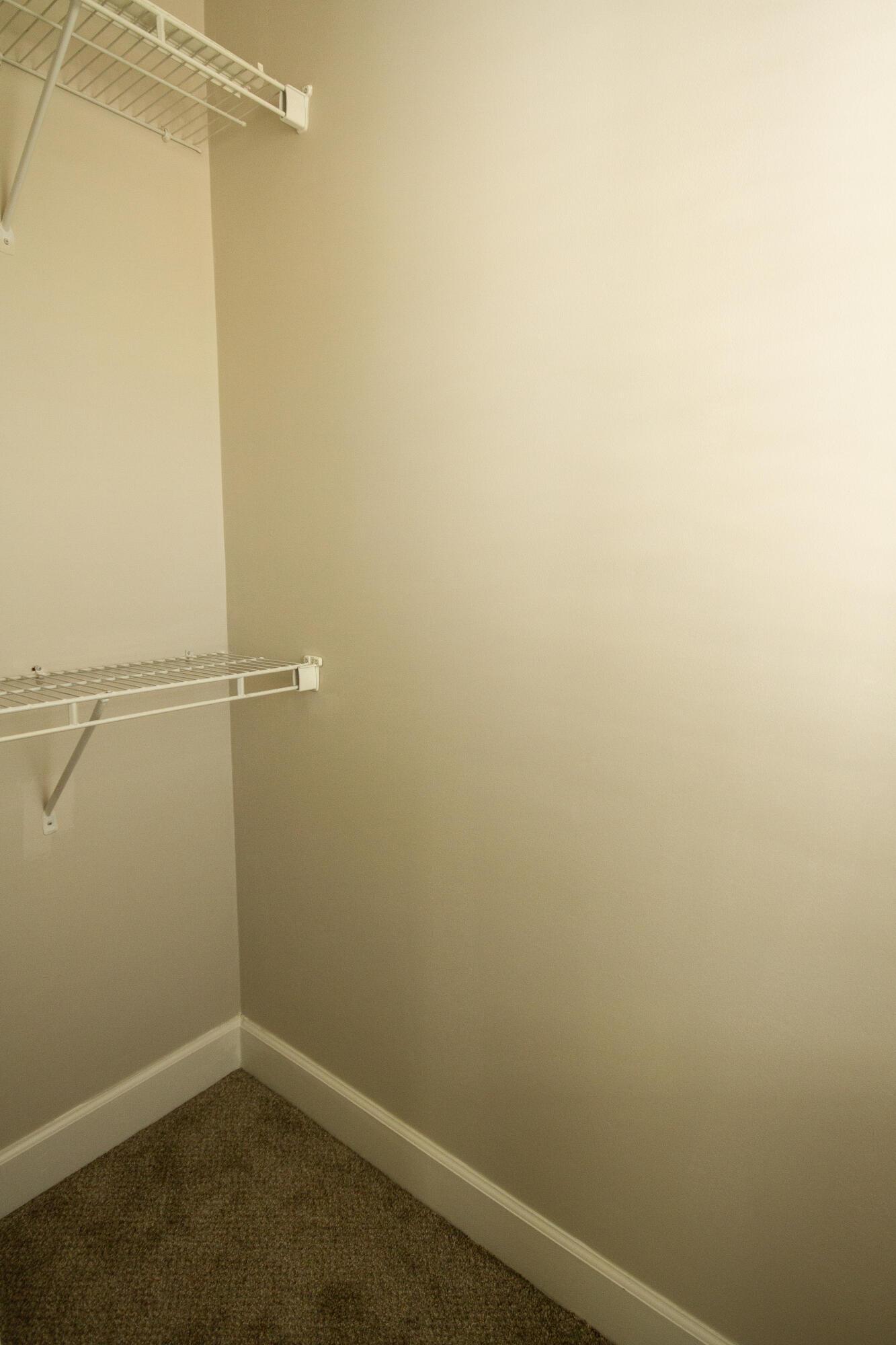 Photo #21