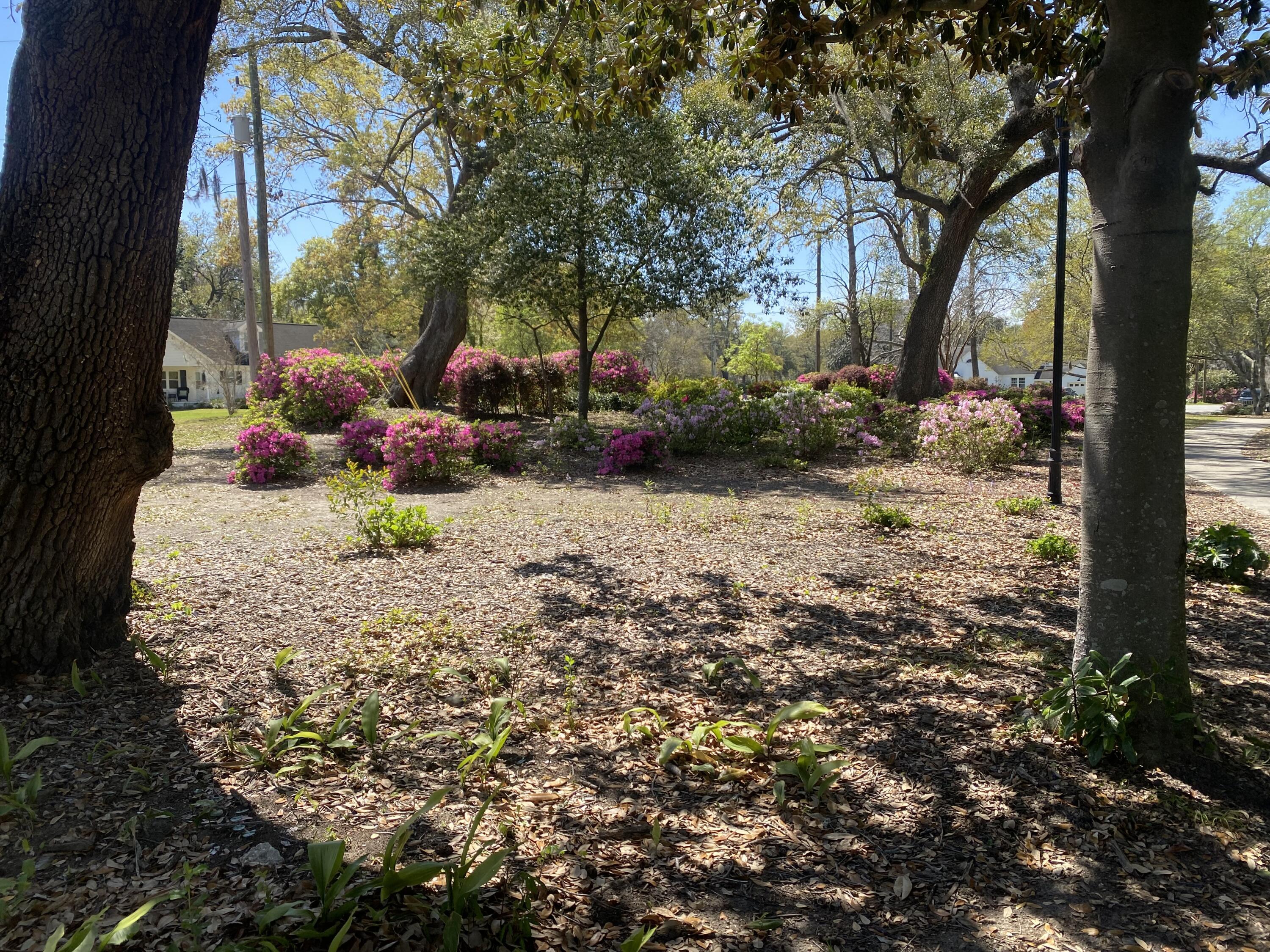 Photo #28