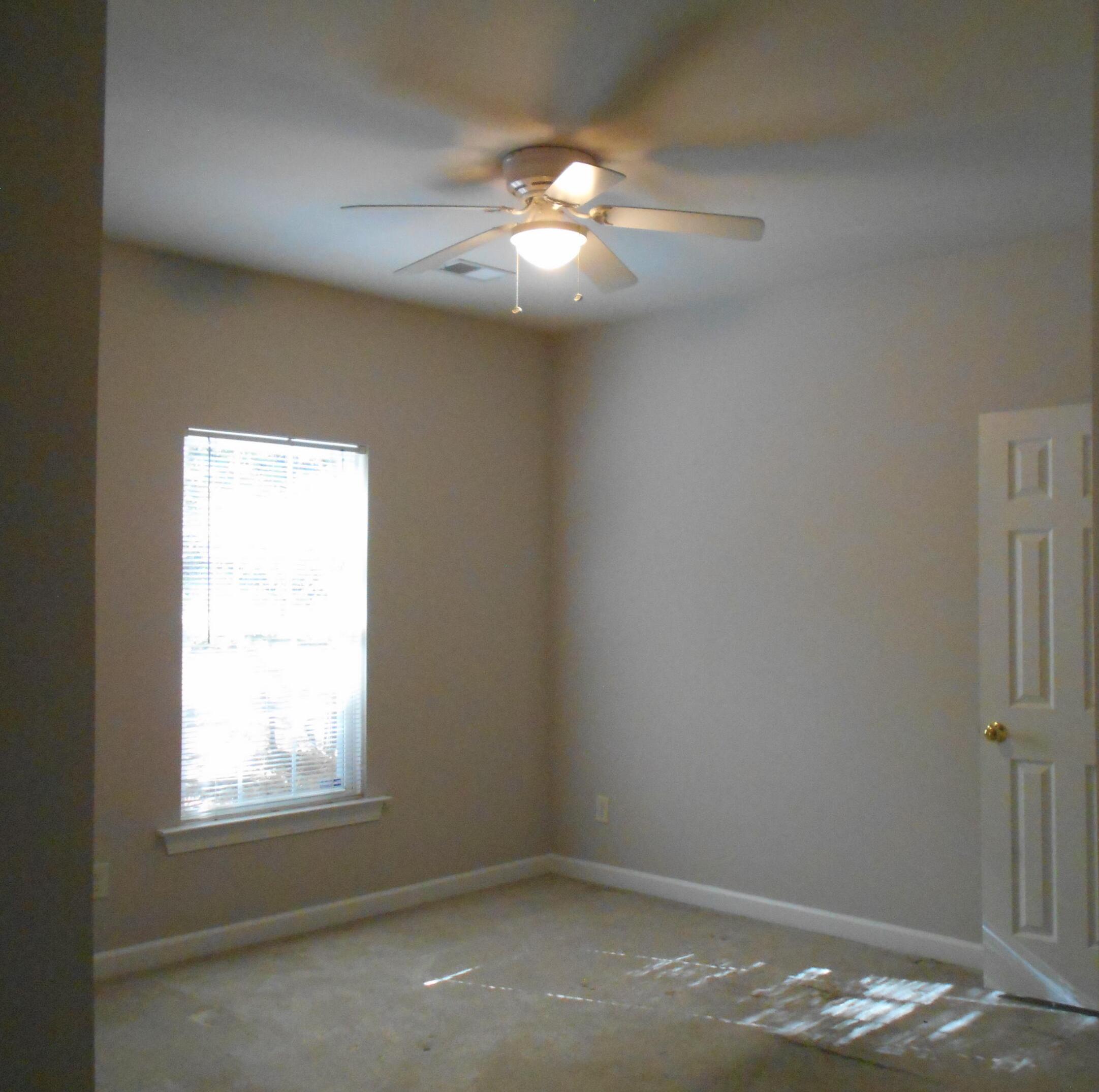Photo #15