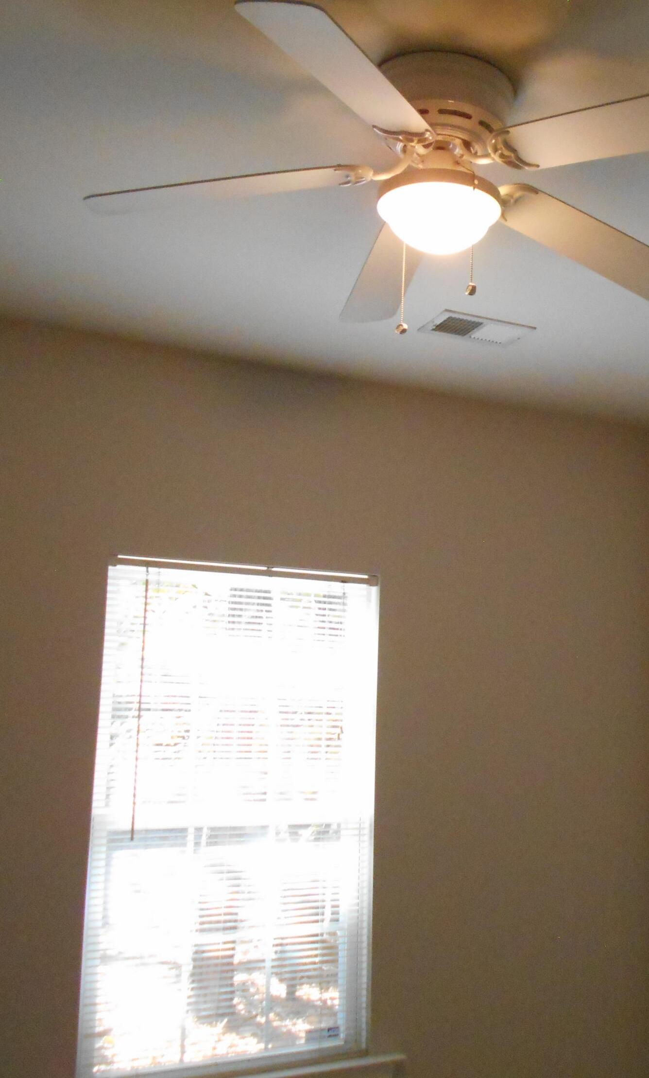 Photo #16