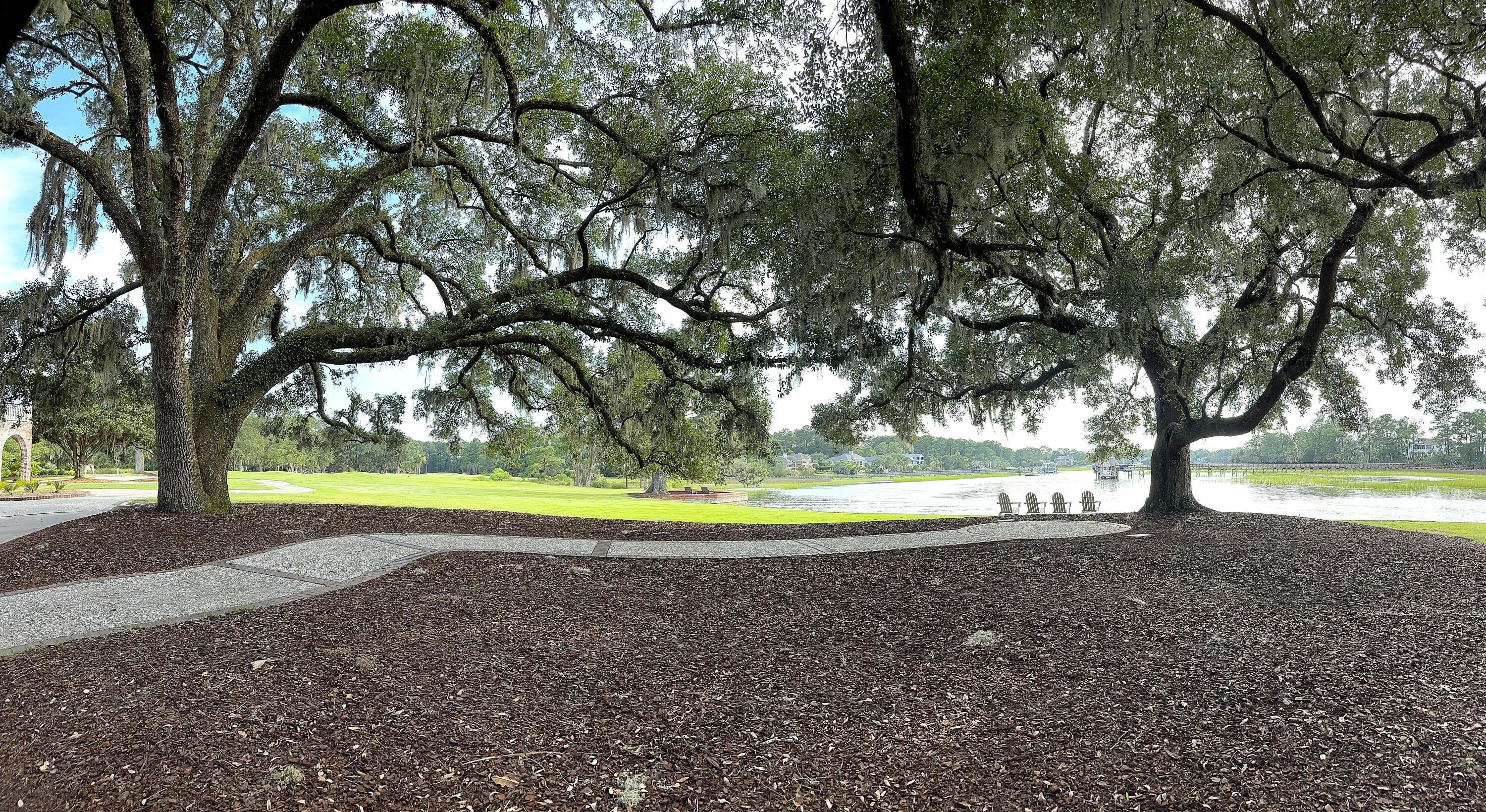 Photo #41