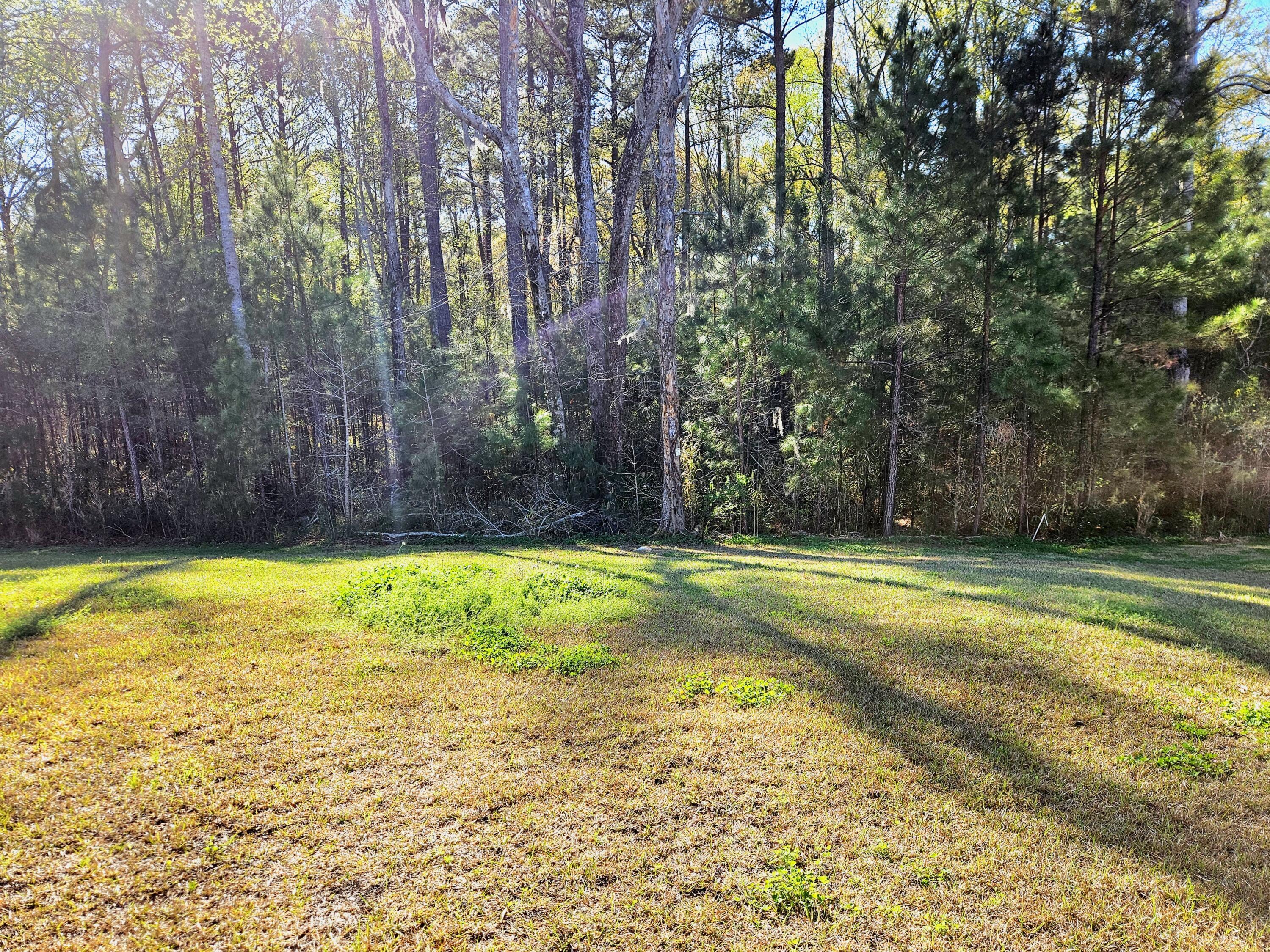 Photo #38