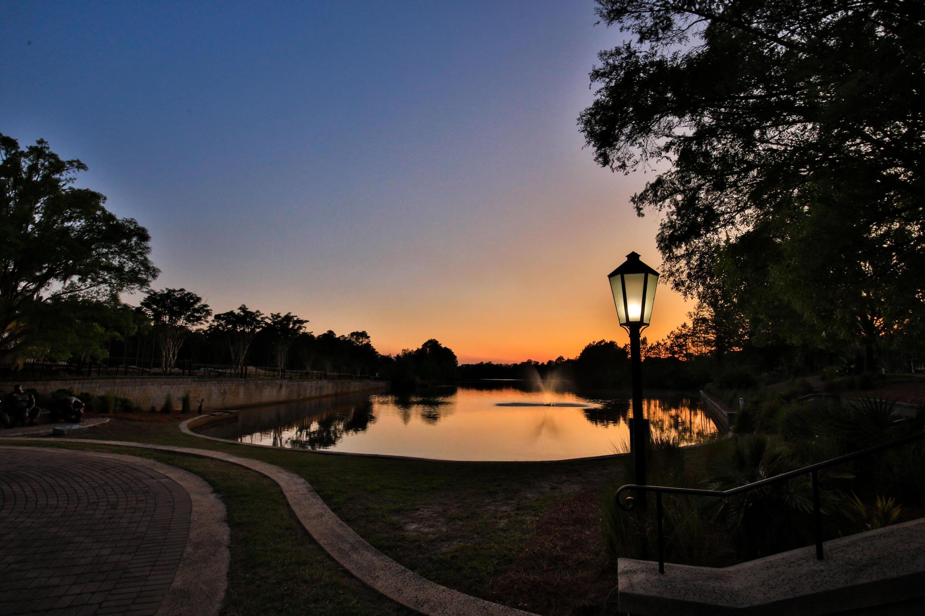 Photo #63