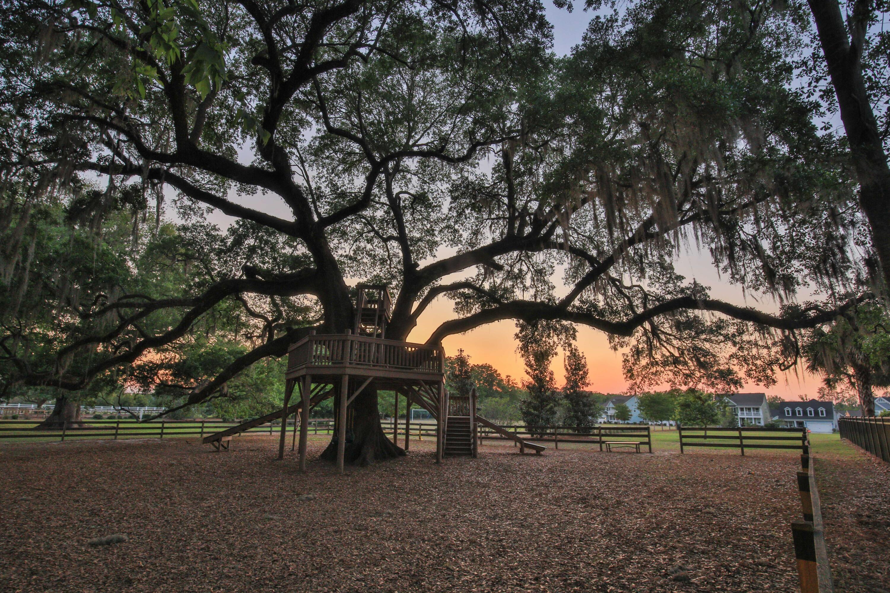 Photo #59