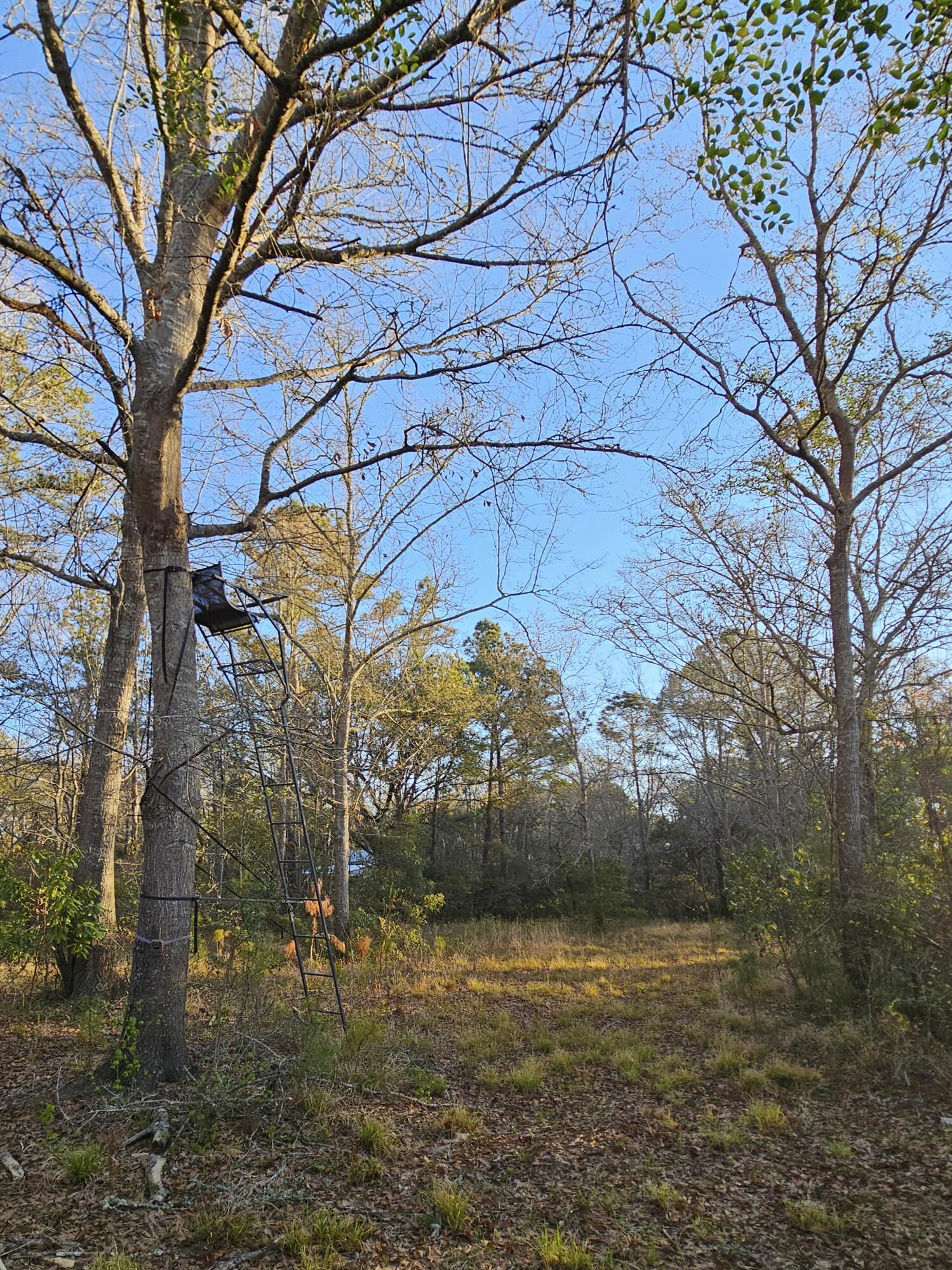 Photo #53
