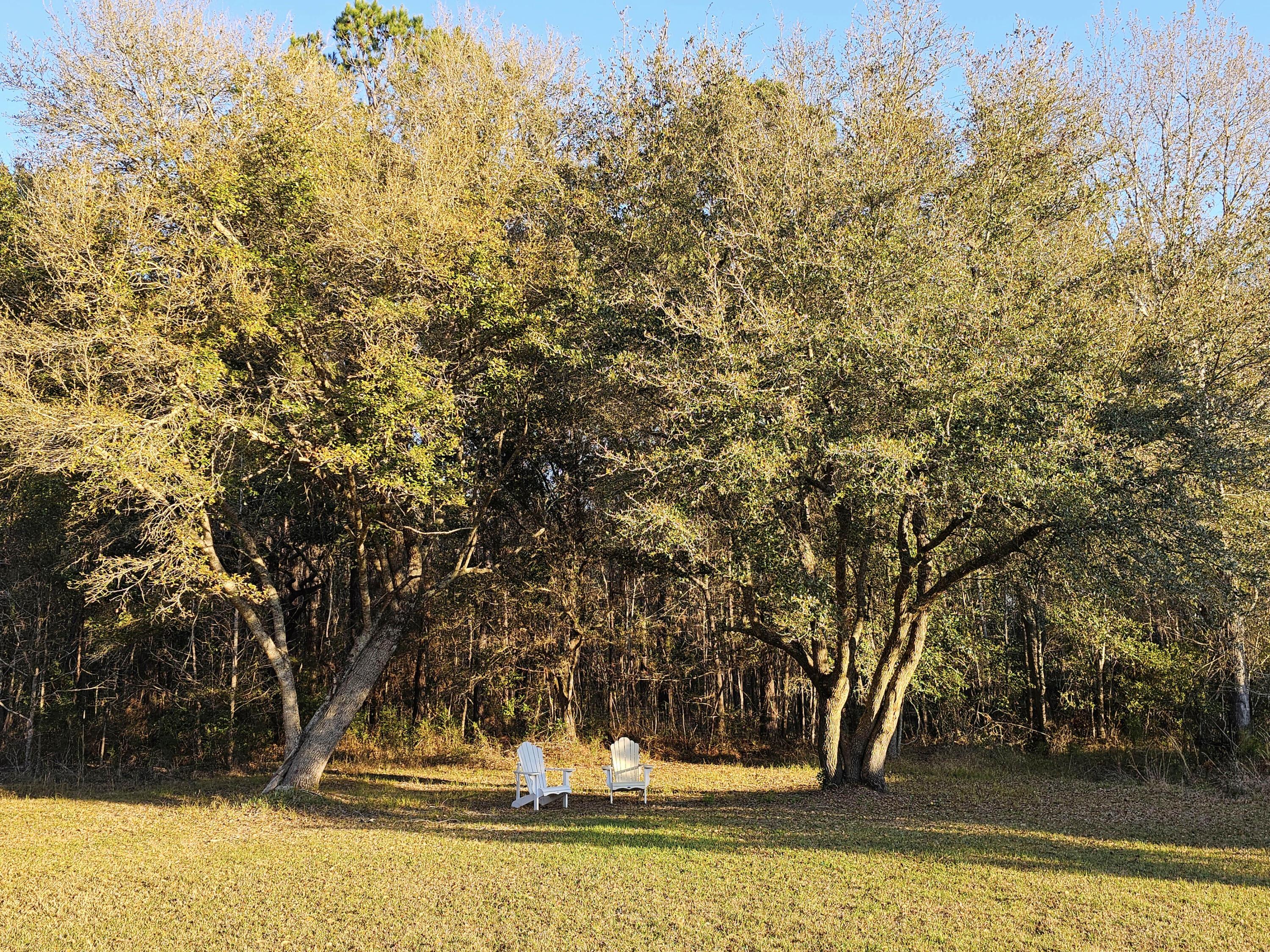 Photo #36