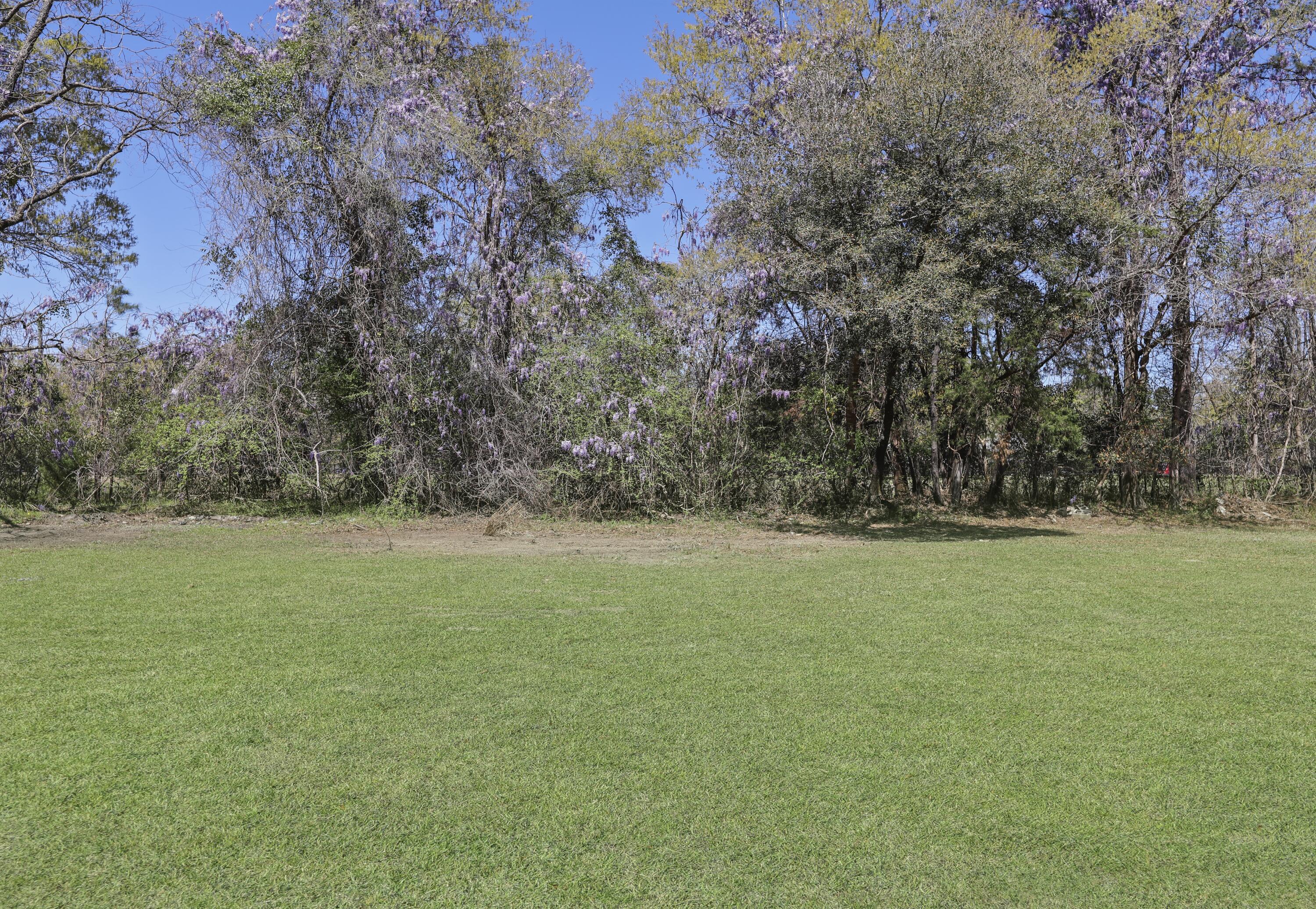 Photo #39
