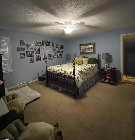 Photo #19