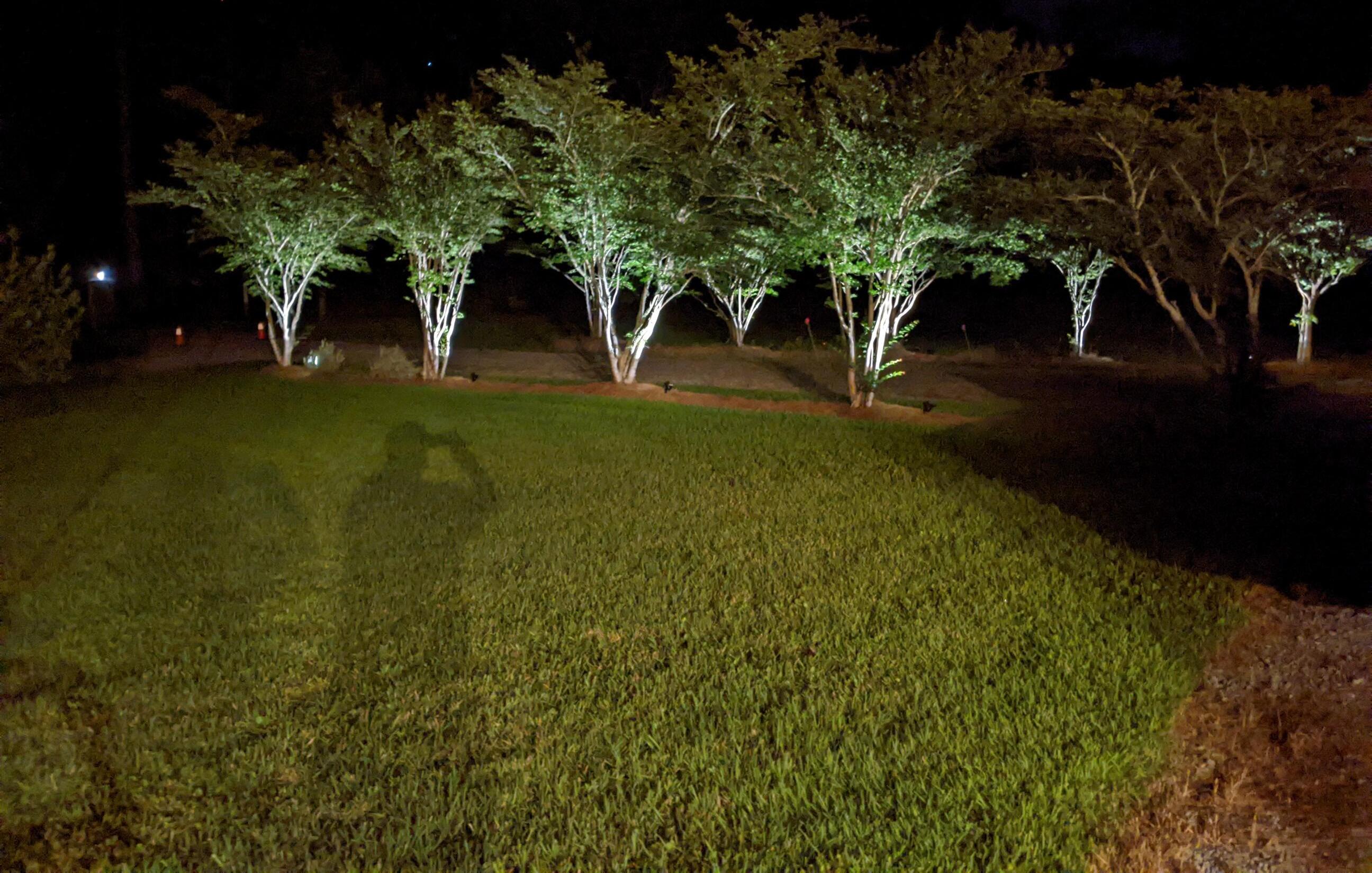 Photo #50
