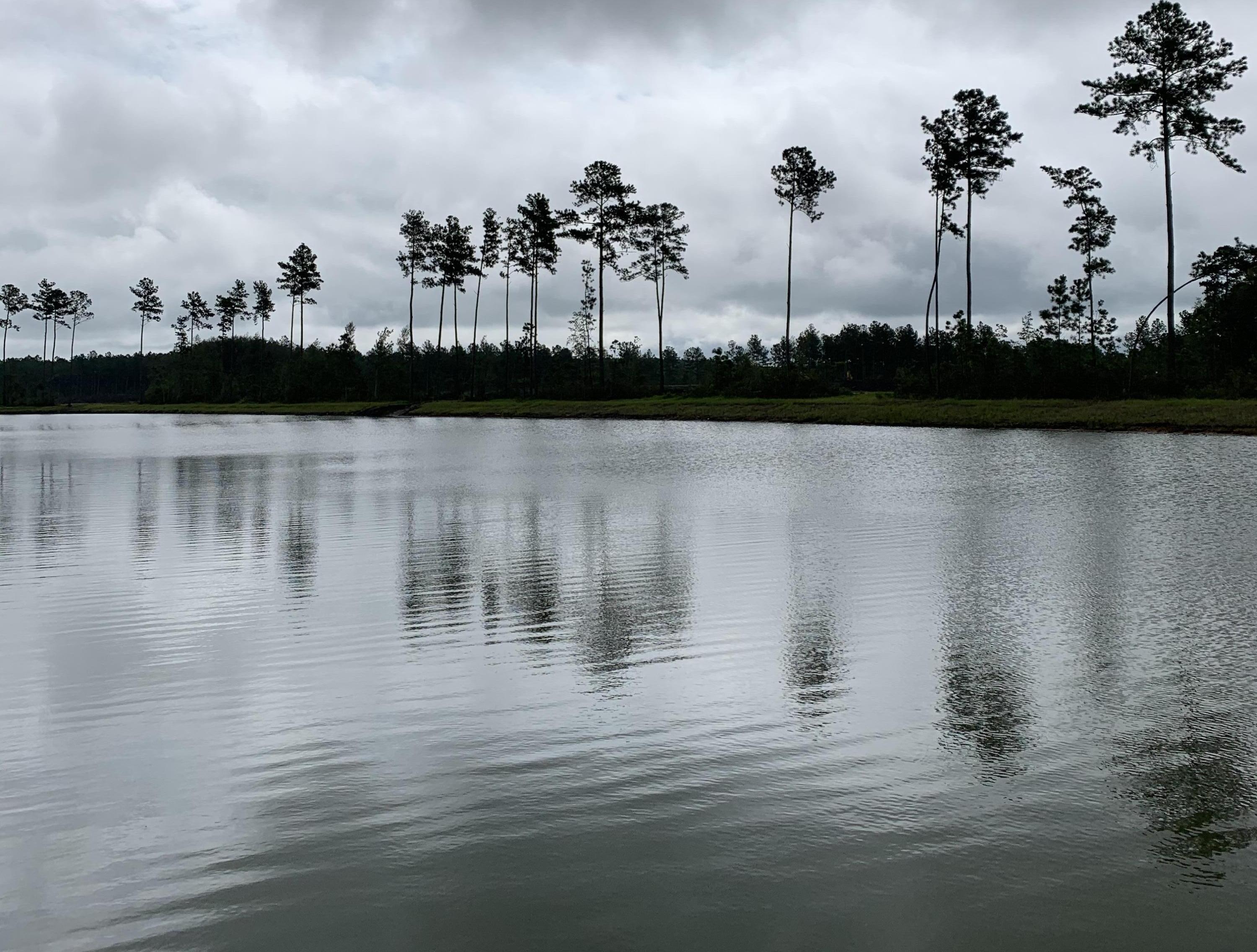 Photo #33