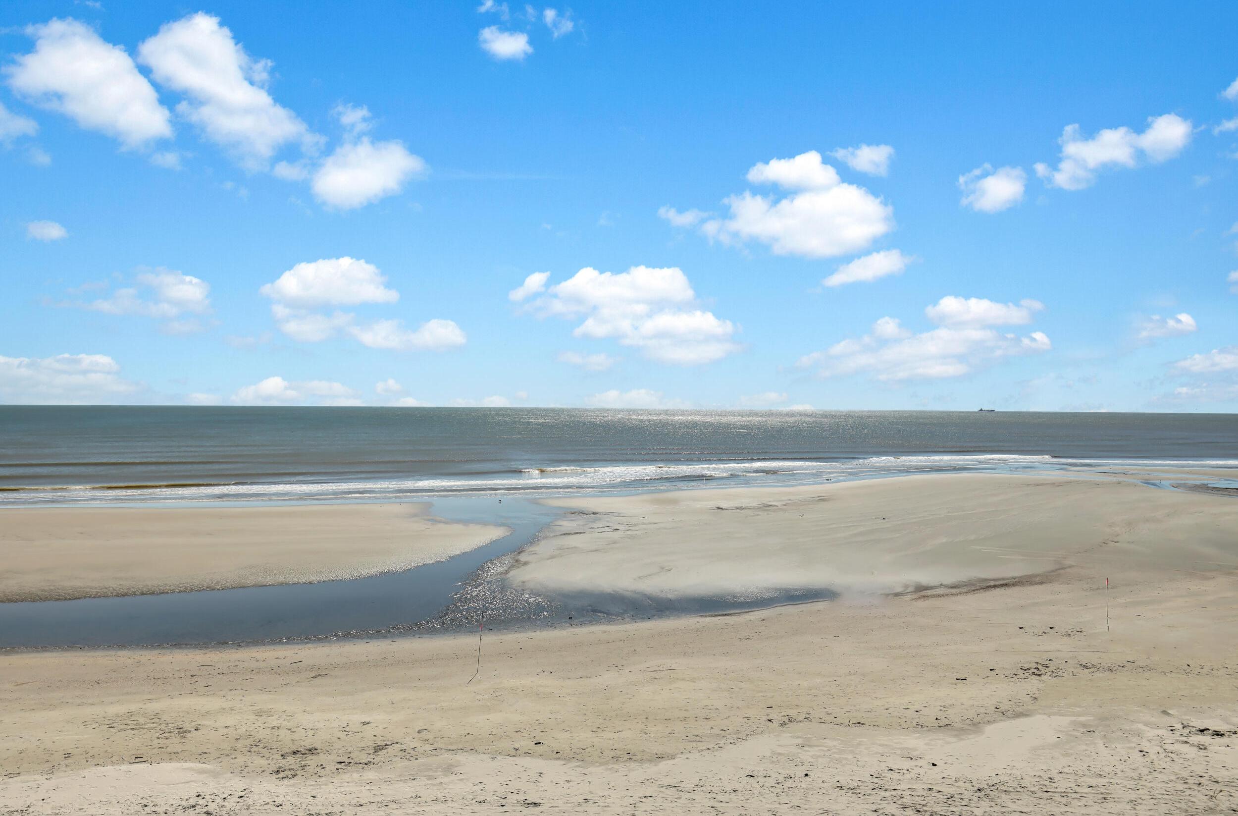 Photo #51