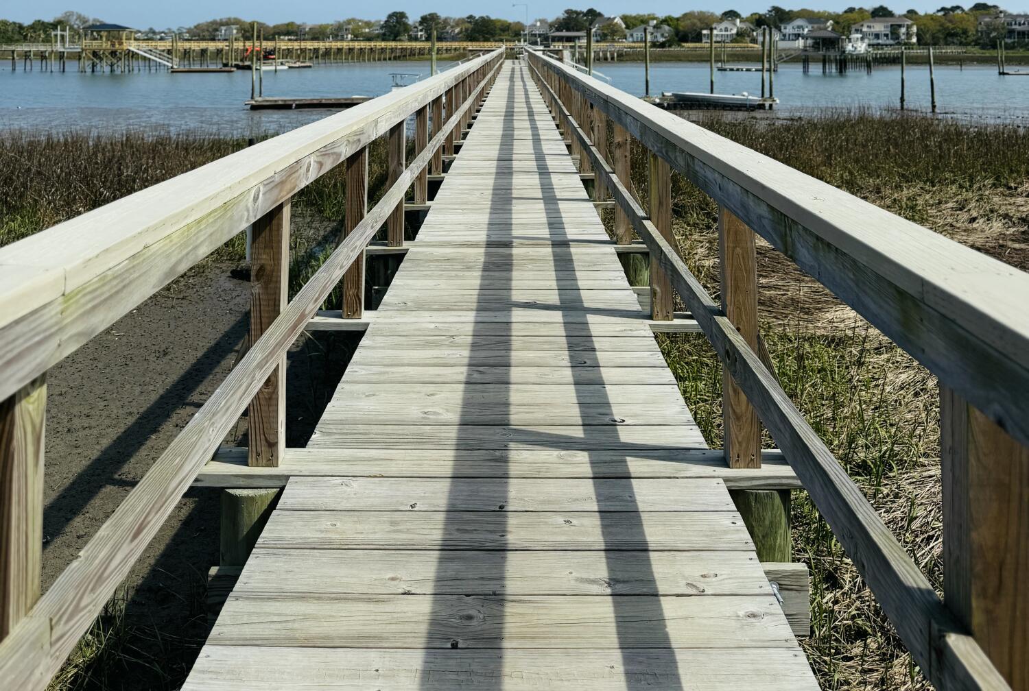 Photo #42