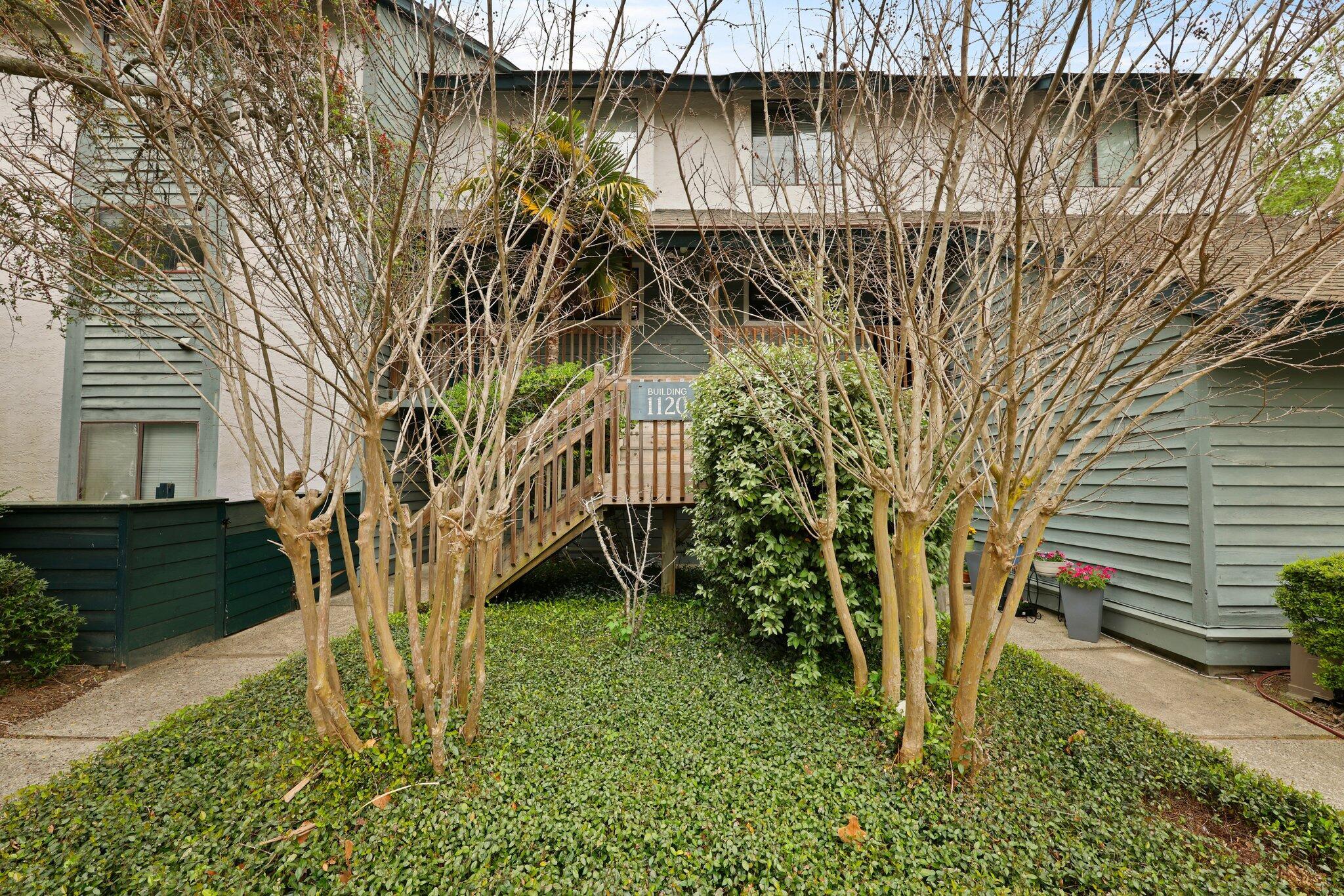 Photo #2