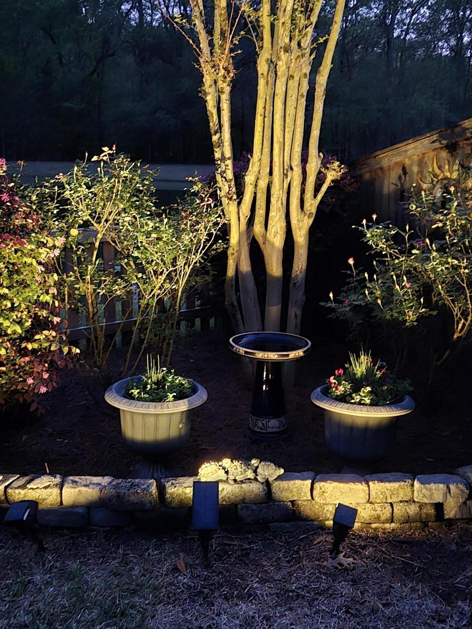 Photo #41
