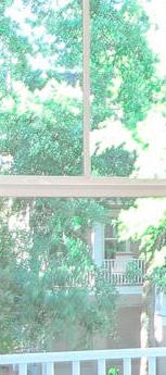 Photo #14
