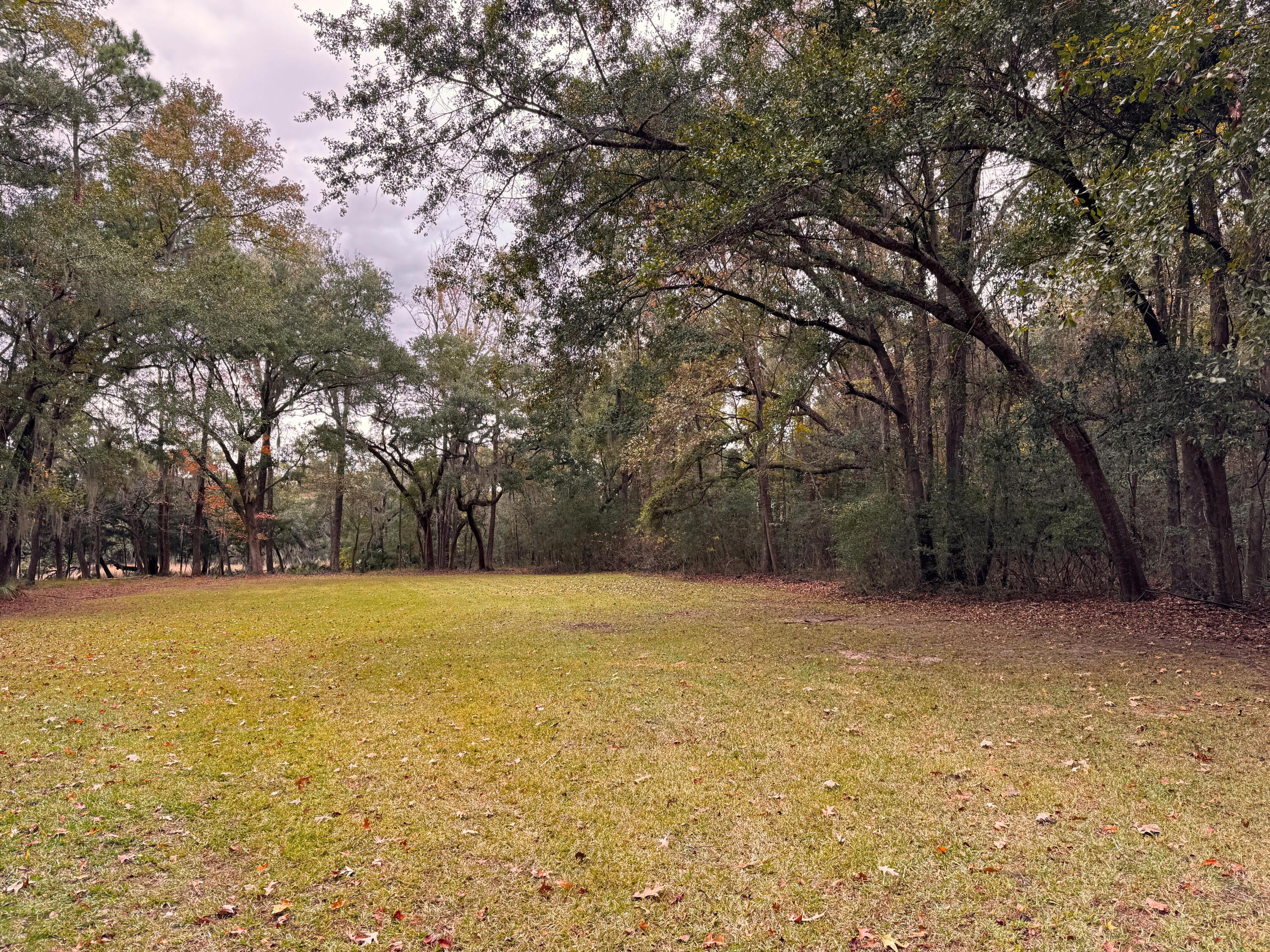 Photo #41