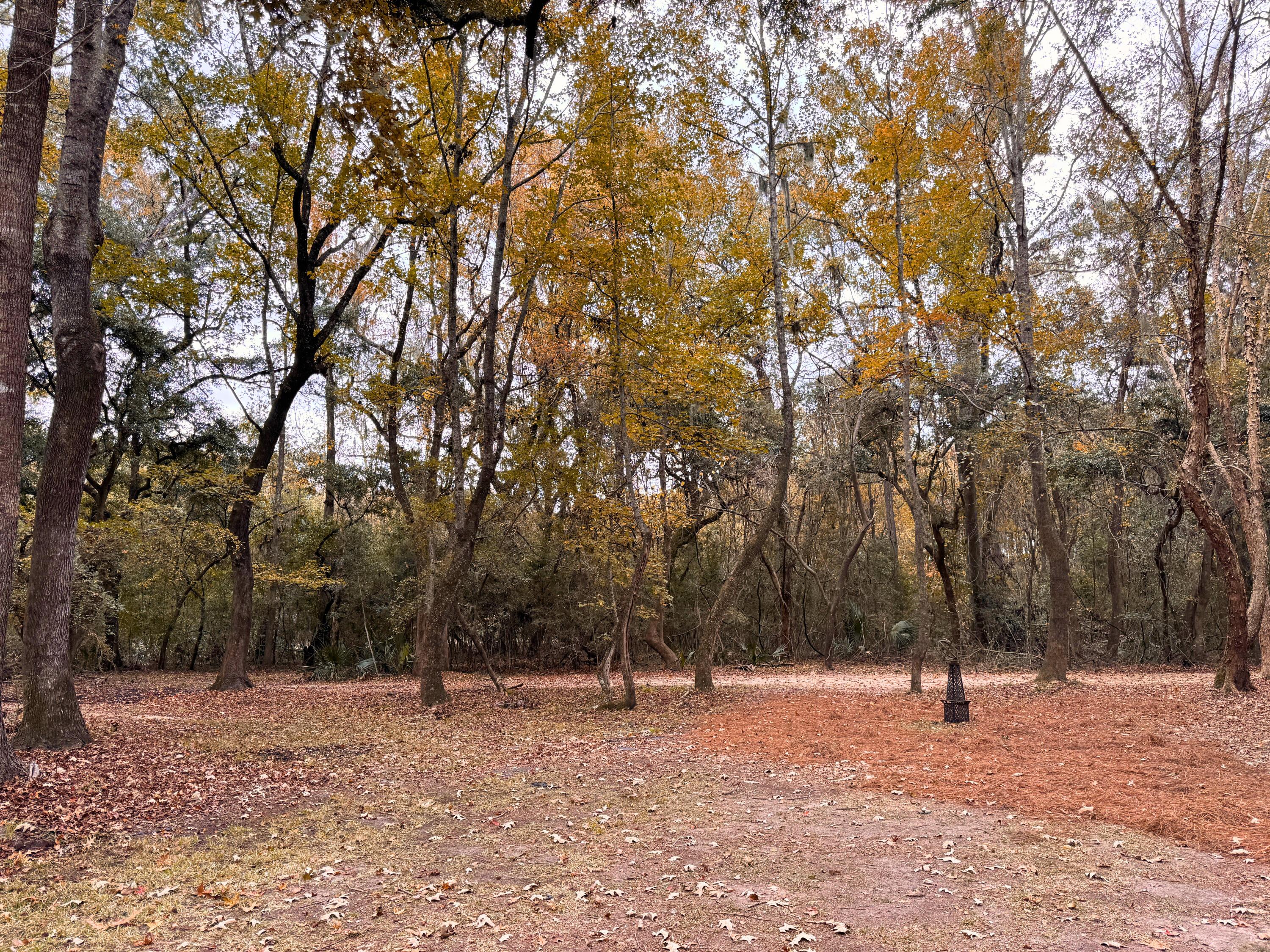 Photo #55