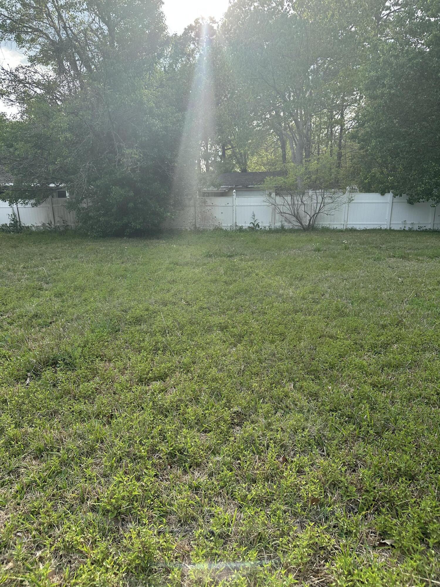 Photo #4
