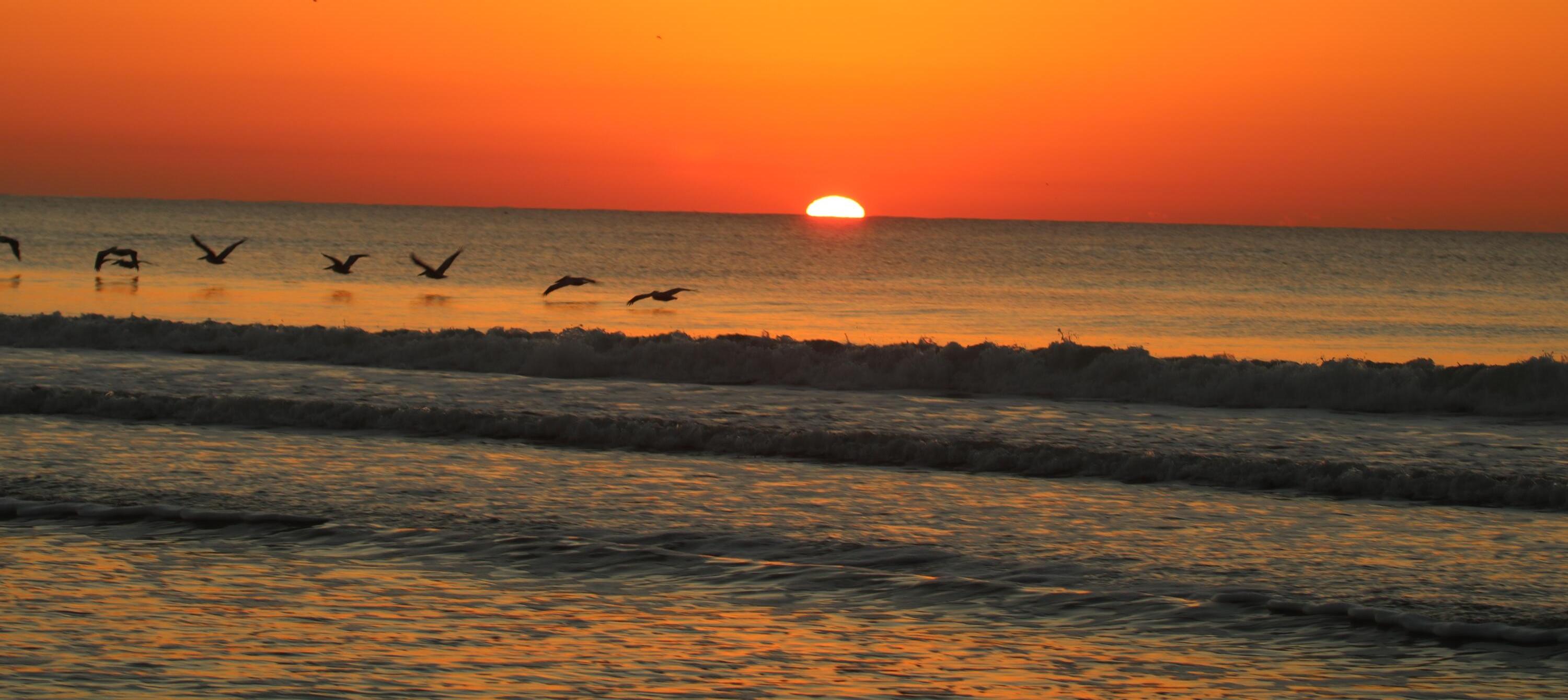 Photo #41