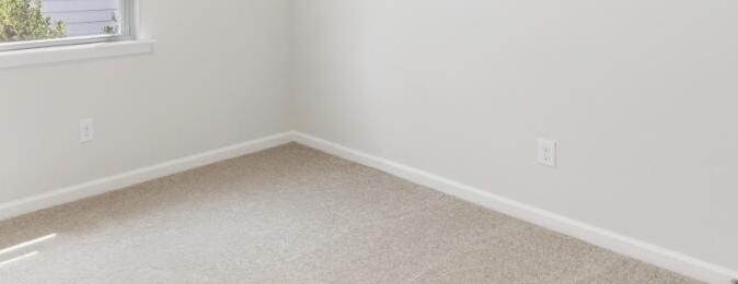Photo #10