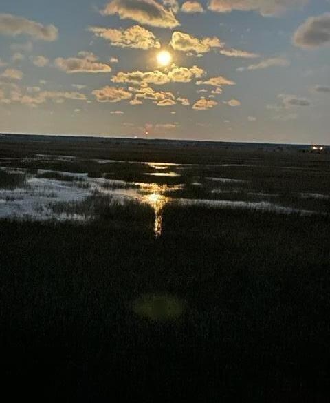 Photo #46