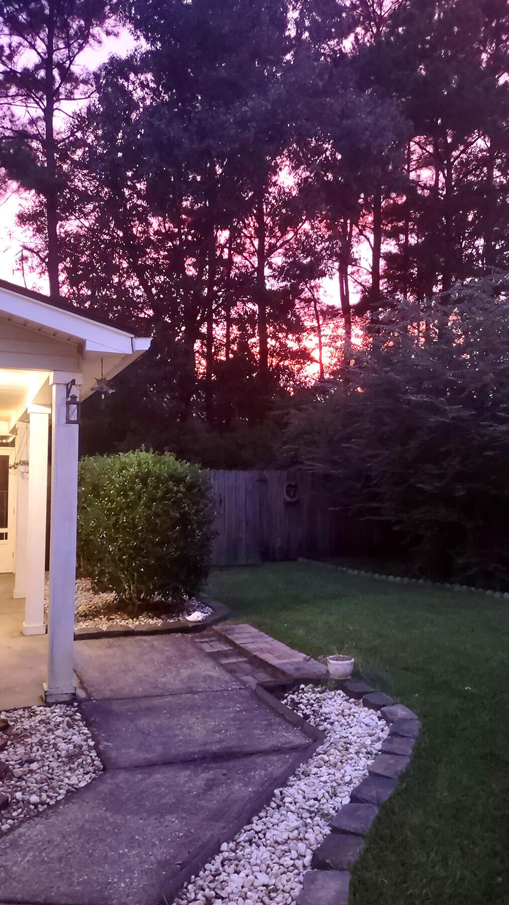 Photo #23