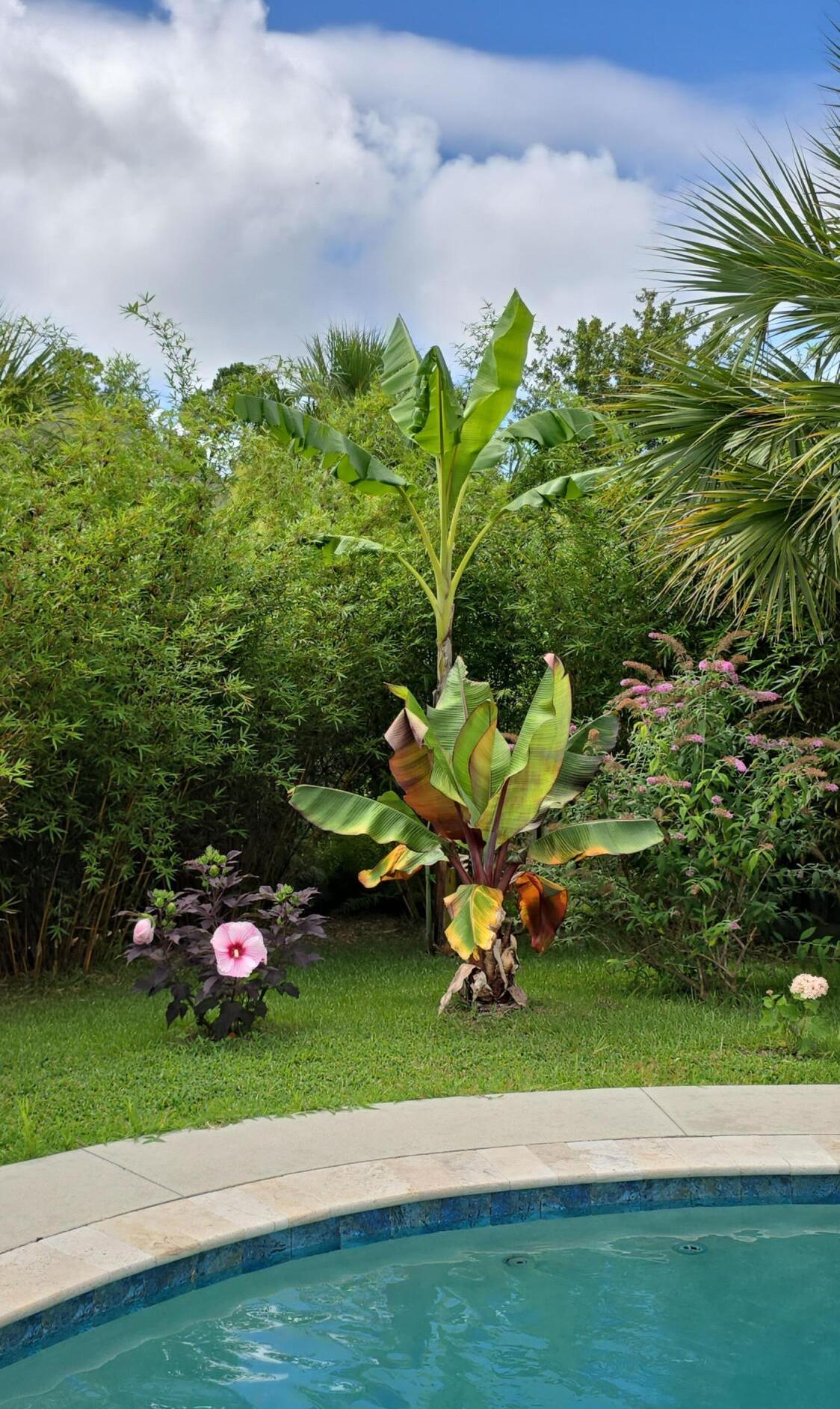 Photo #14