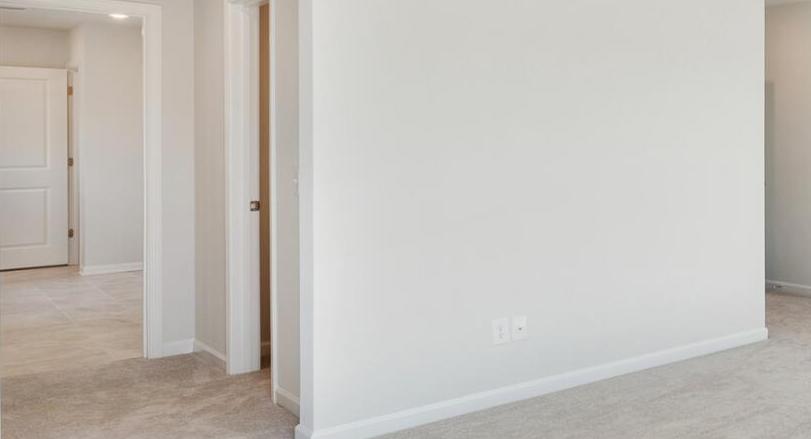 Photo #7
