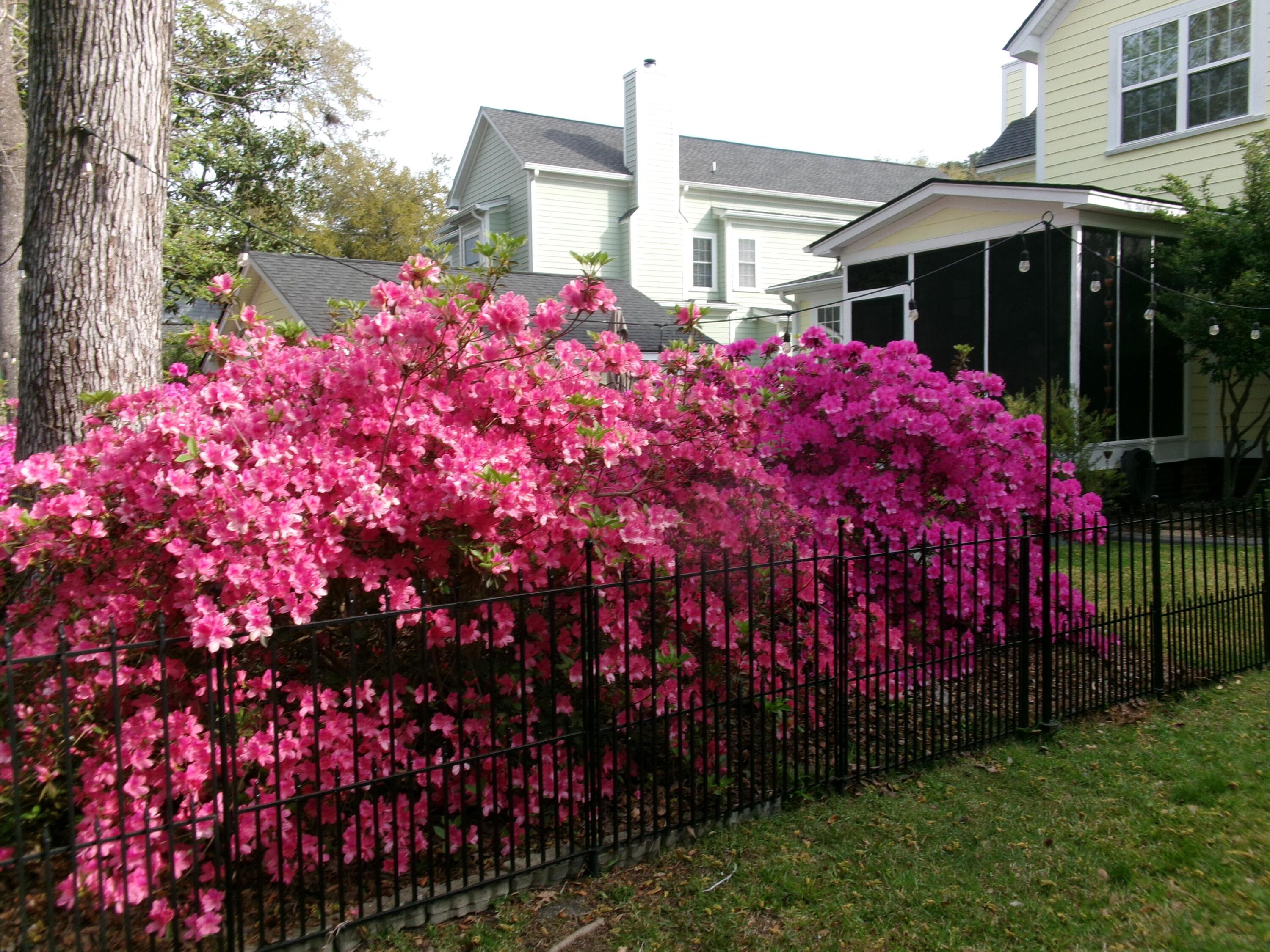 Photo #46