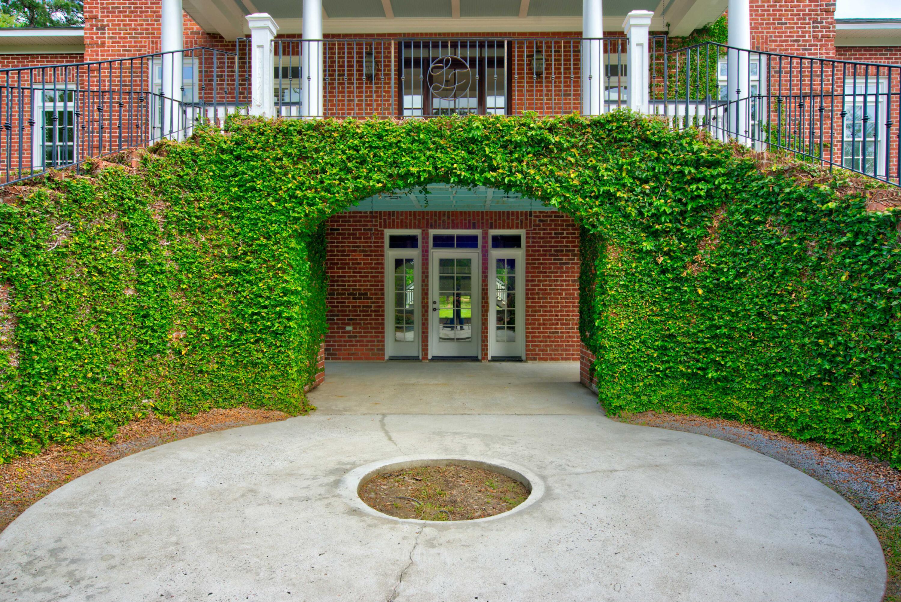 Photo #4