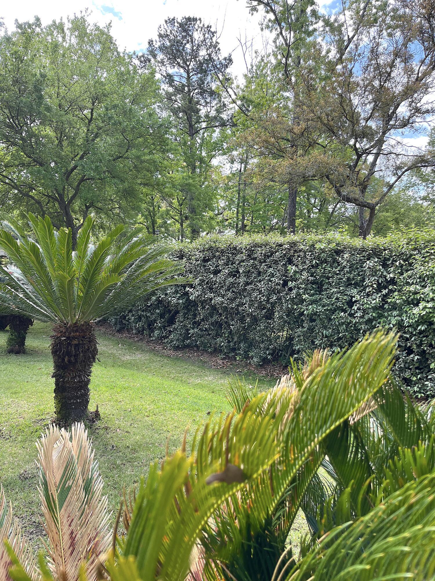 Photo #34