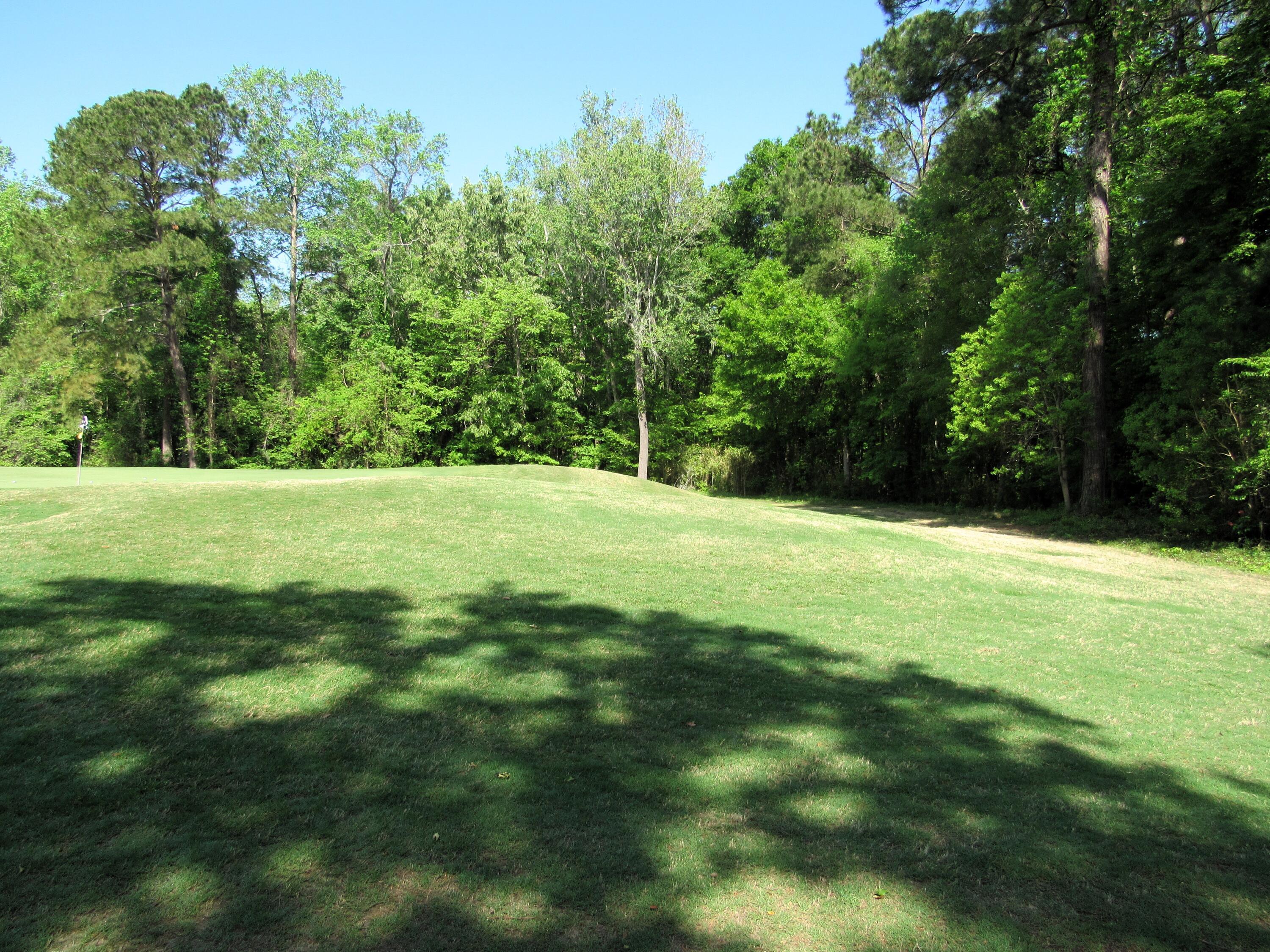 Photo #44