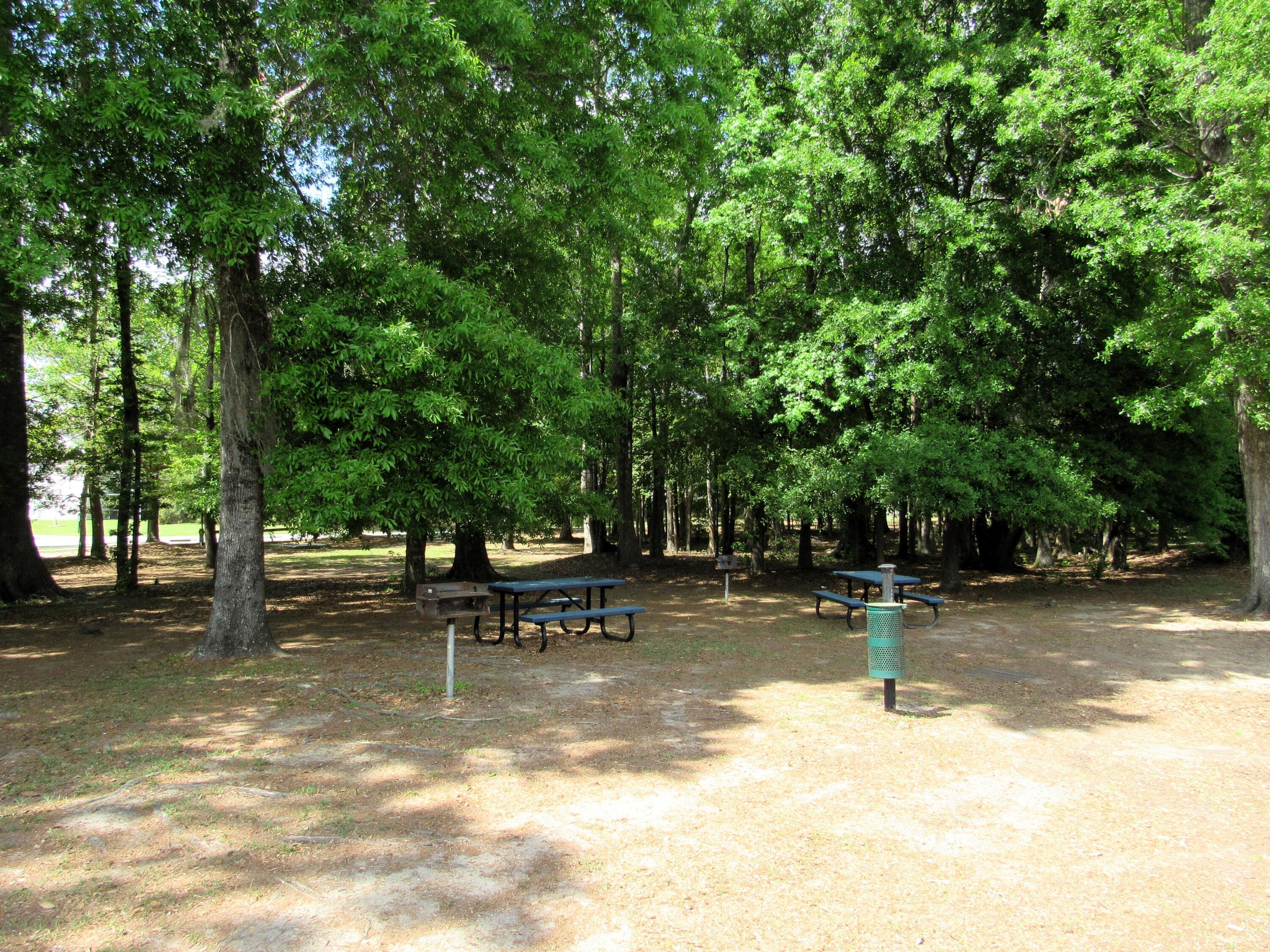 Photo #52