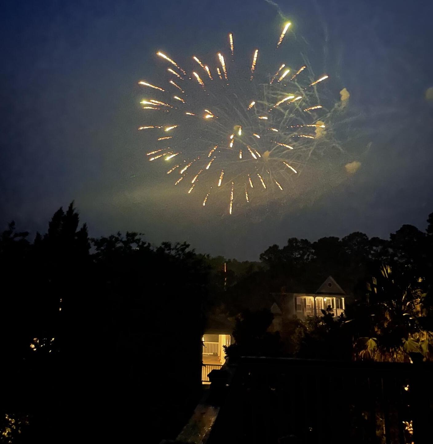 Photo #52