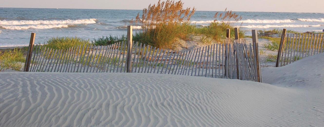 Photo #41