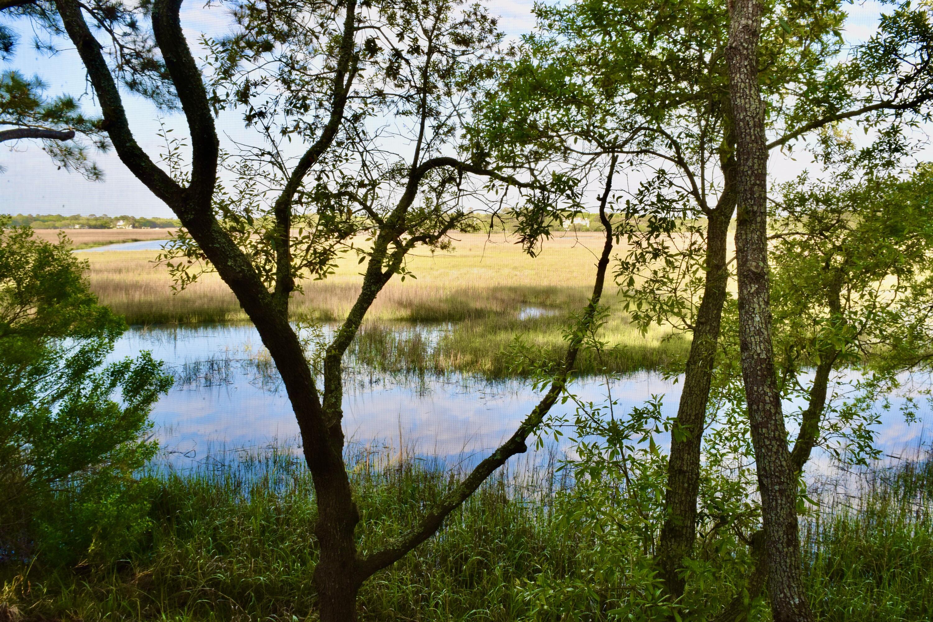 Photo #47