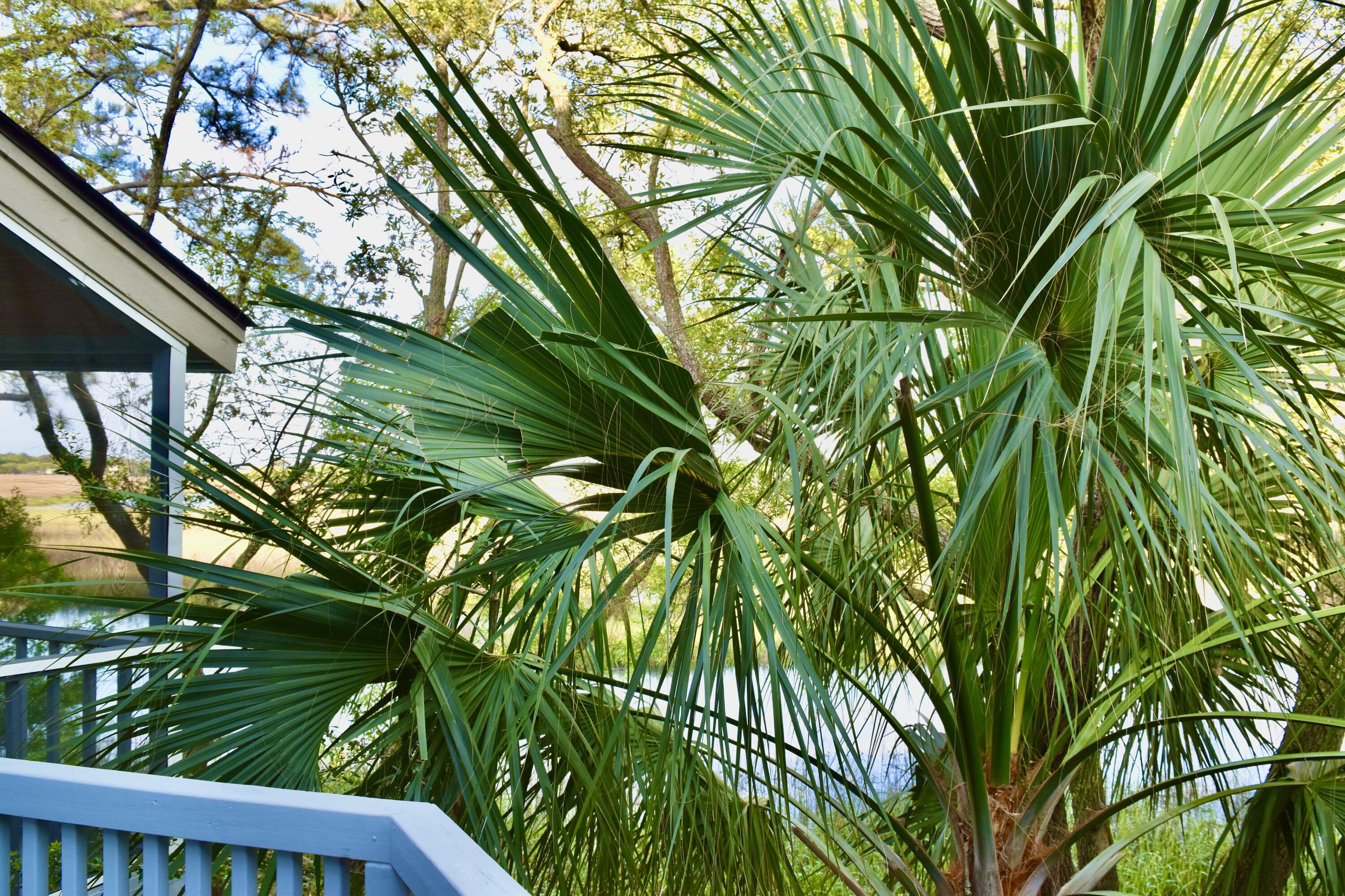 Photo #53