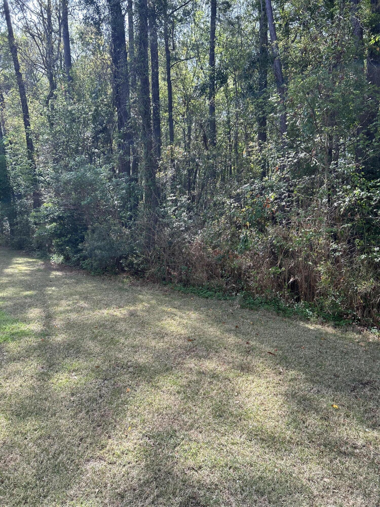 Photo #5