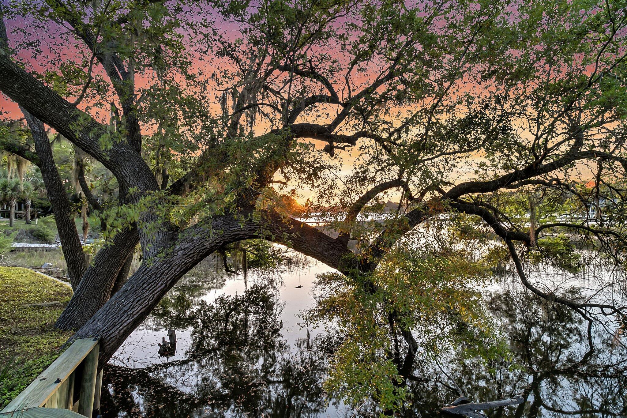 Photo #47
