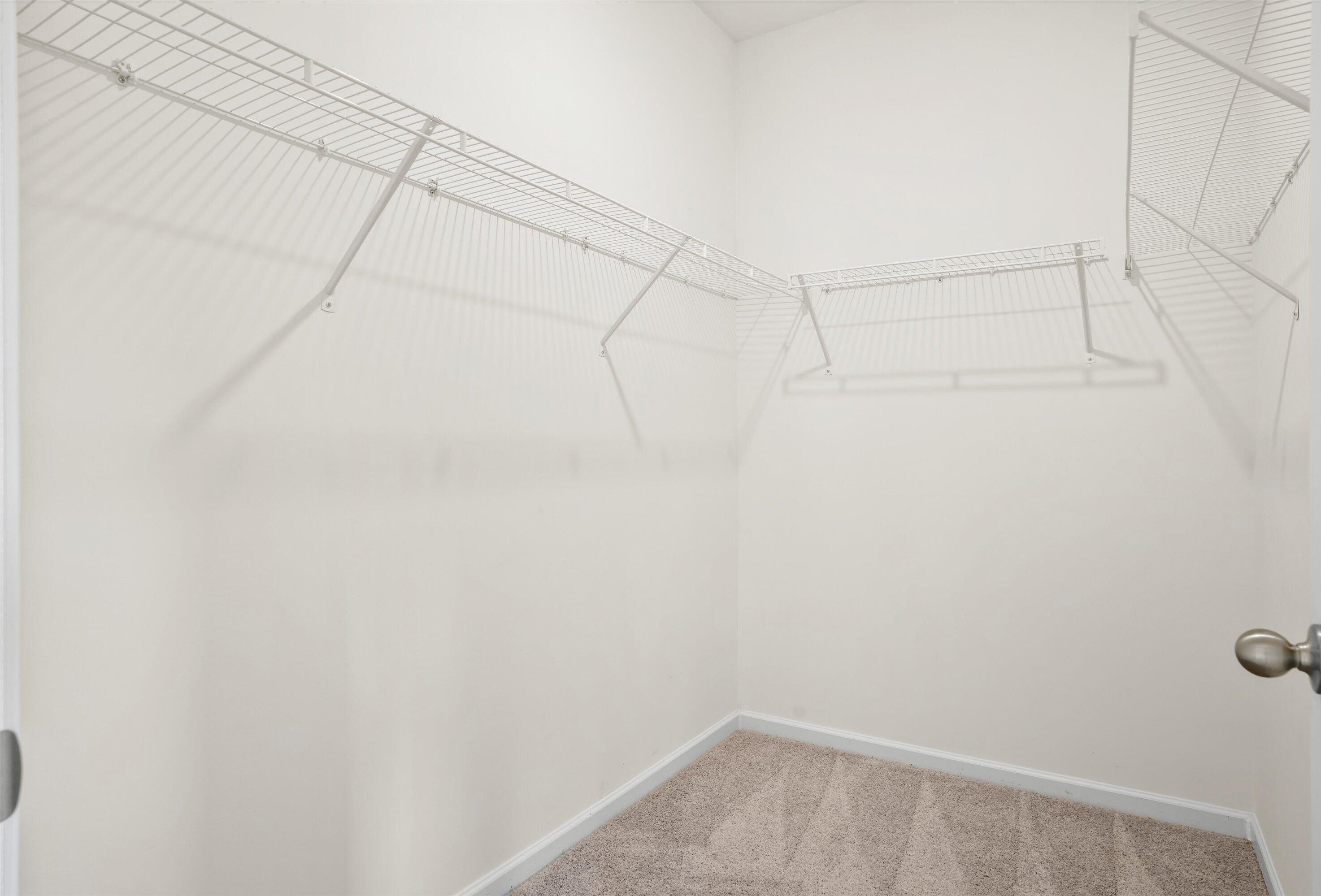 Photo #15