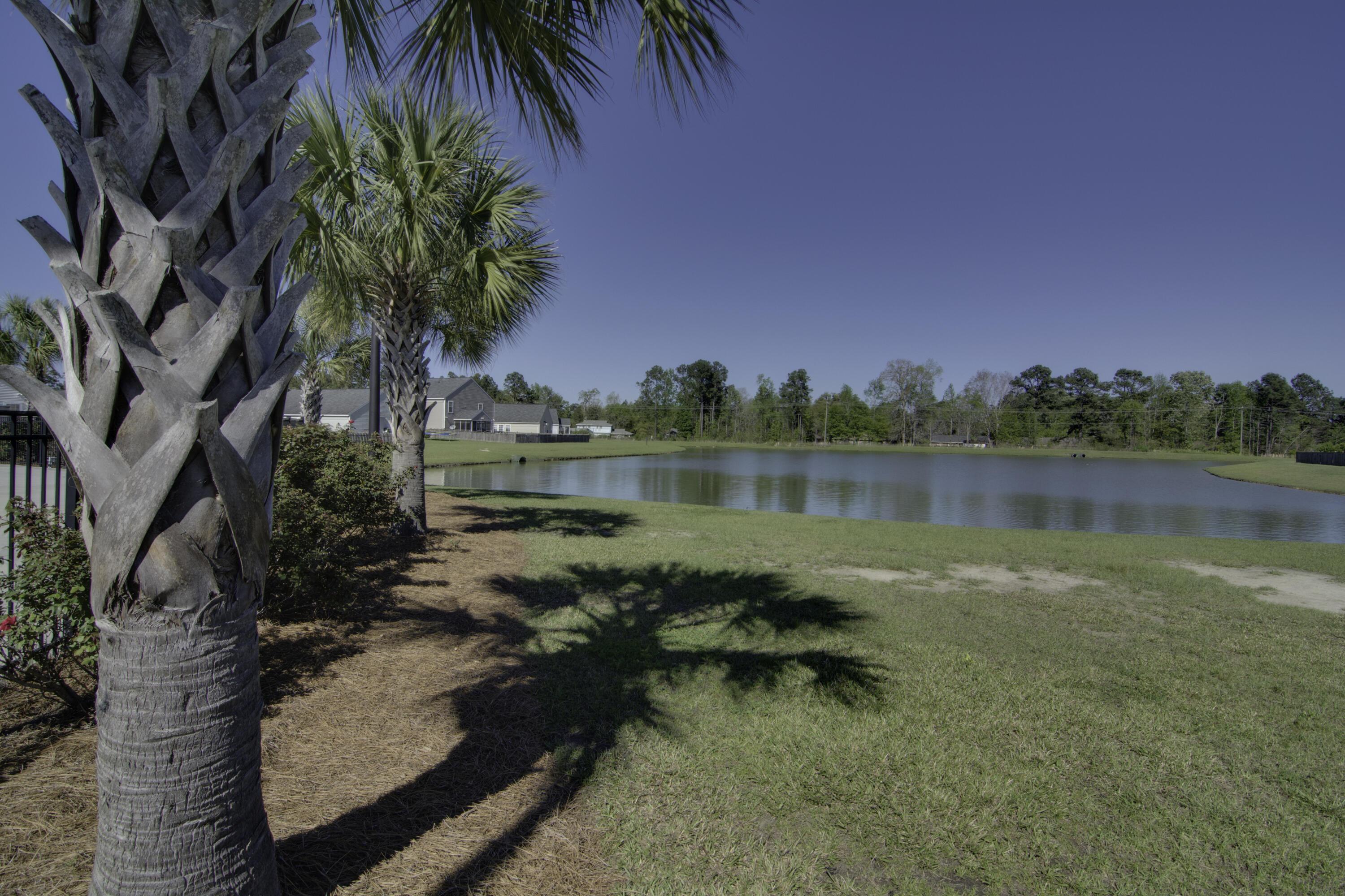 Photo #41