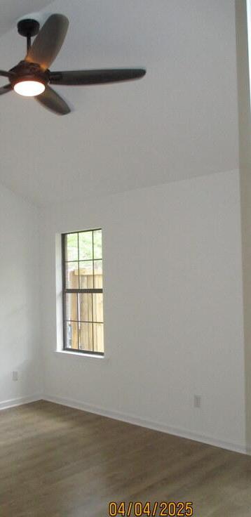 Photo #7